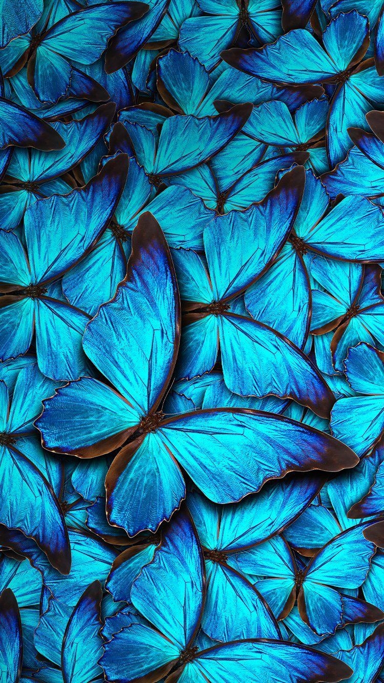 750x1340 Blue Butterflies Wallpaper. Blue butterfly wallpaper, Butterfly, Phone