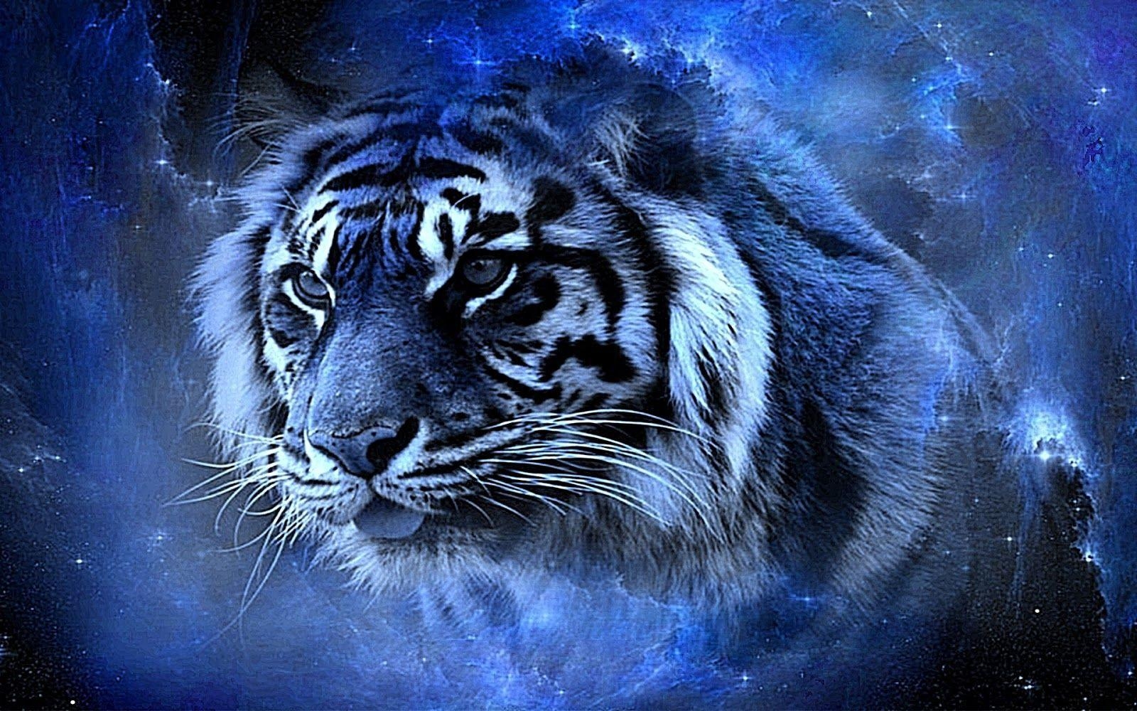 1600x1000 Real Tigers Wallpaper 3D Full HD 4K free. Top Model Hairstyle, Desktop