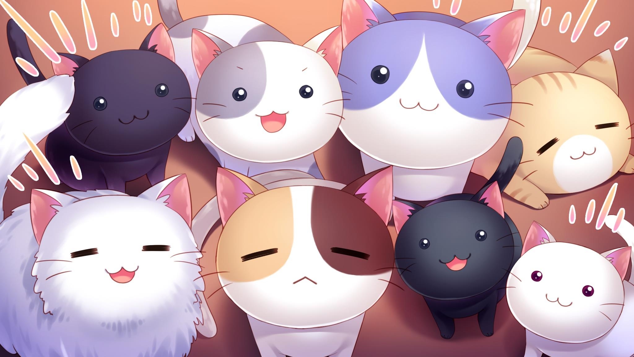 2050x1160 Cute Anime Cat Wallpaper, Desktop