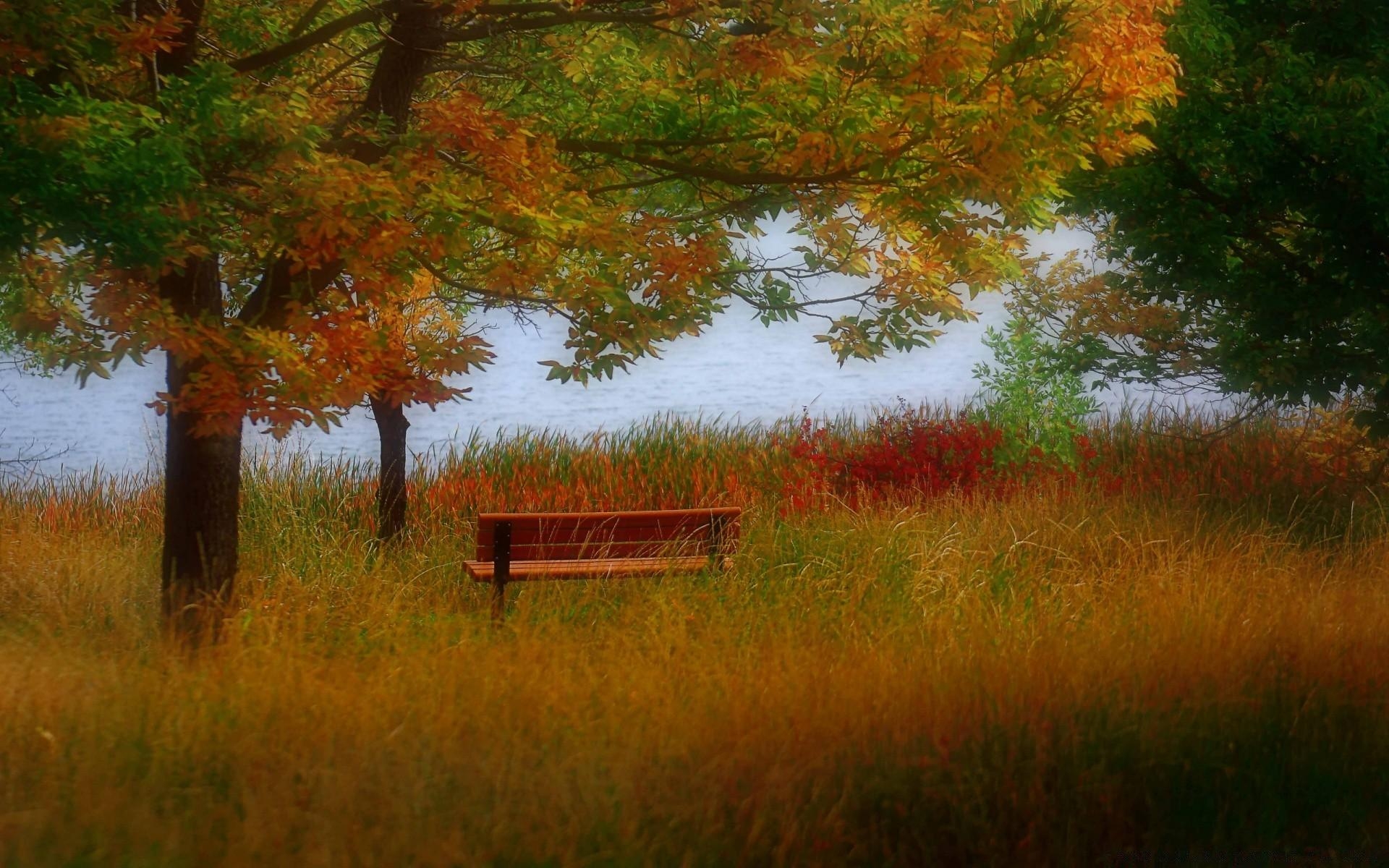 1920x1200 Beautiful Autumn Scenery, Desktop