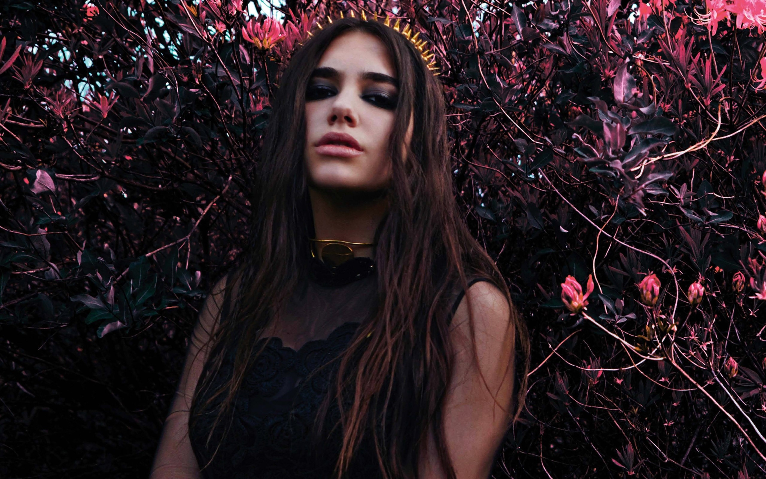 2560x1600 Wallpaper / dua lipa, music, celebrities, girls, HD free download, Desktop