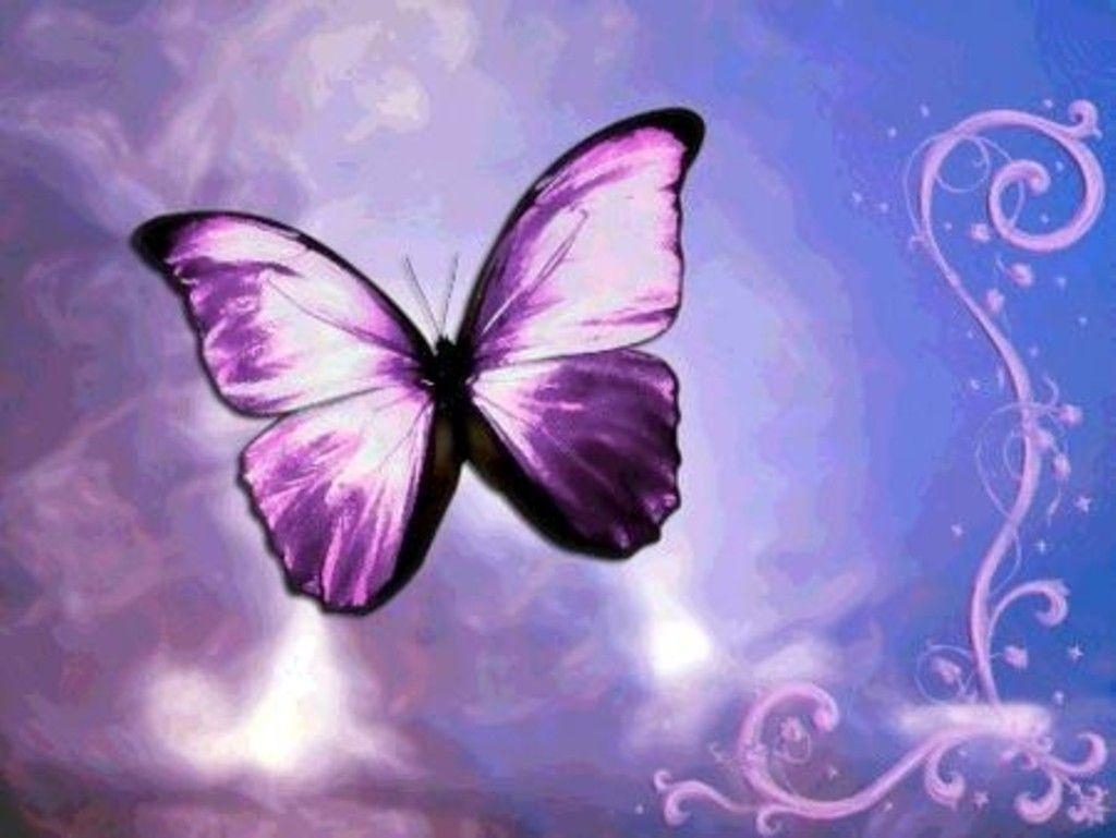 1030x770 Cute Purple Background 32866 HD Desktop Background and Widescreen, Desktop