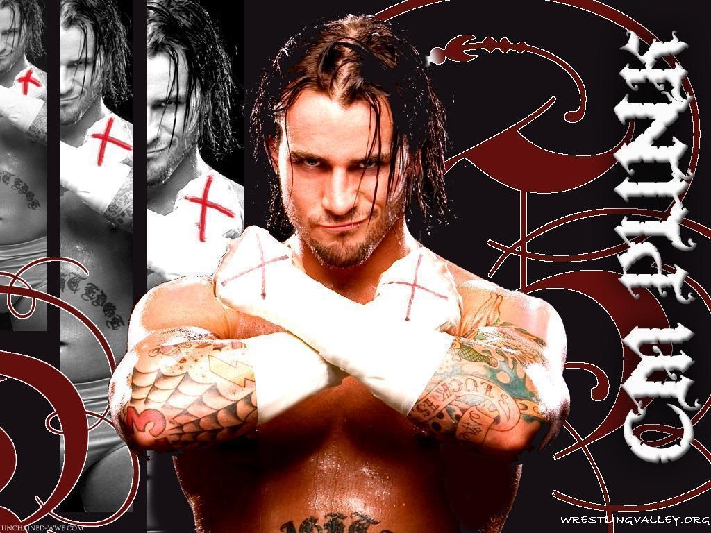 1030x770 WWE Wallpaper: Wallpaper Of Cm Punk latest 2013, Desktop