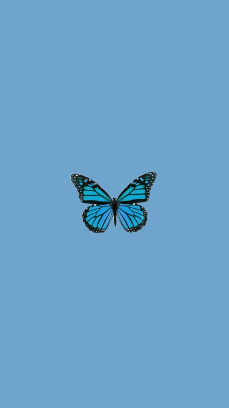 750x1340 Schmetterling tumblr #butterfly #trendy #wallpaper #aesthetic en, Phone