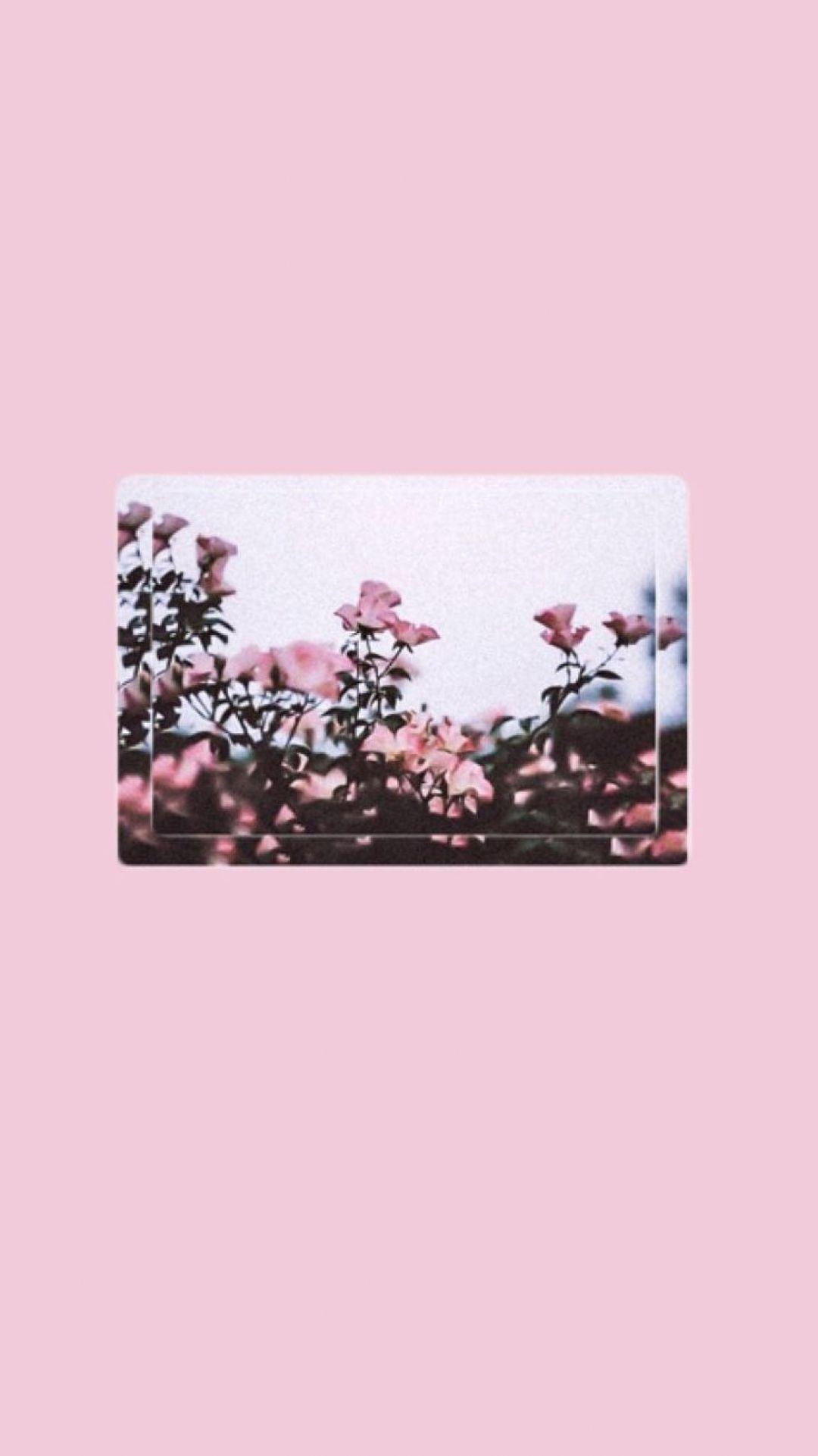 1080x1930 Pink Aesthetic Tumblr Laptop, iPhone, Phone