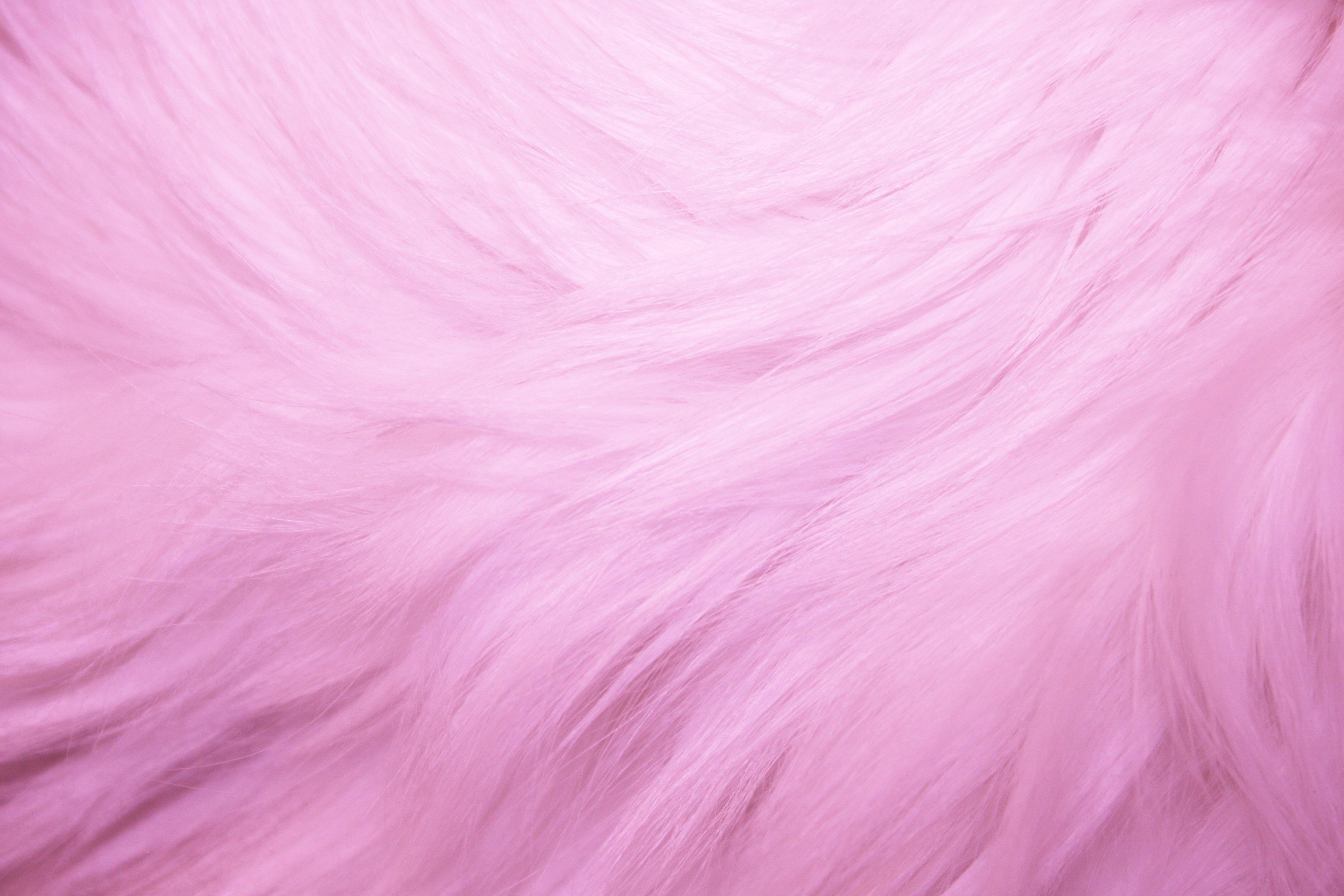 3890x2600 Free download Pink Fur Texture High Resolution Photo Dimensions, Desktop