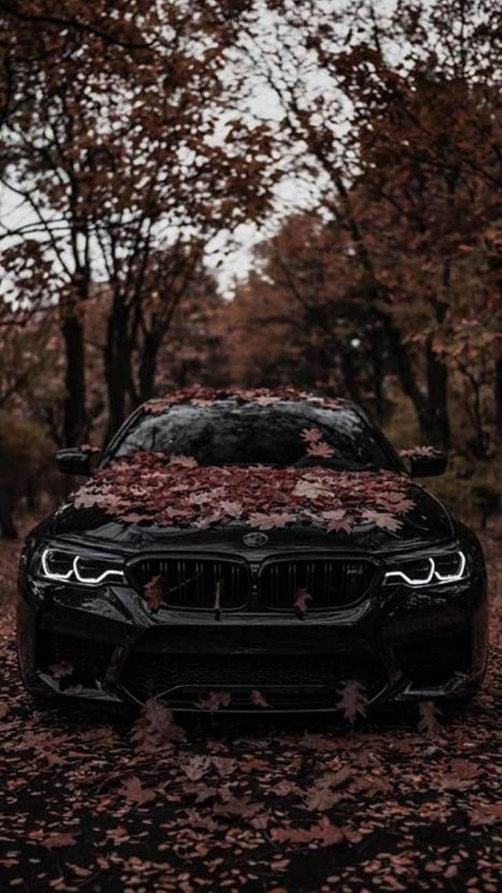 730x1300 Bmw M5 Black iPhone Wallpaper, Phone