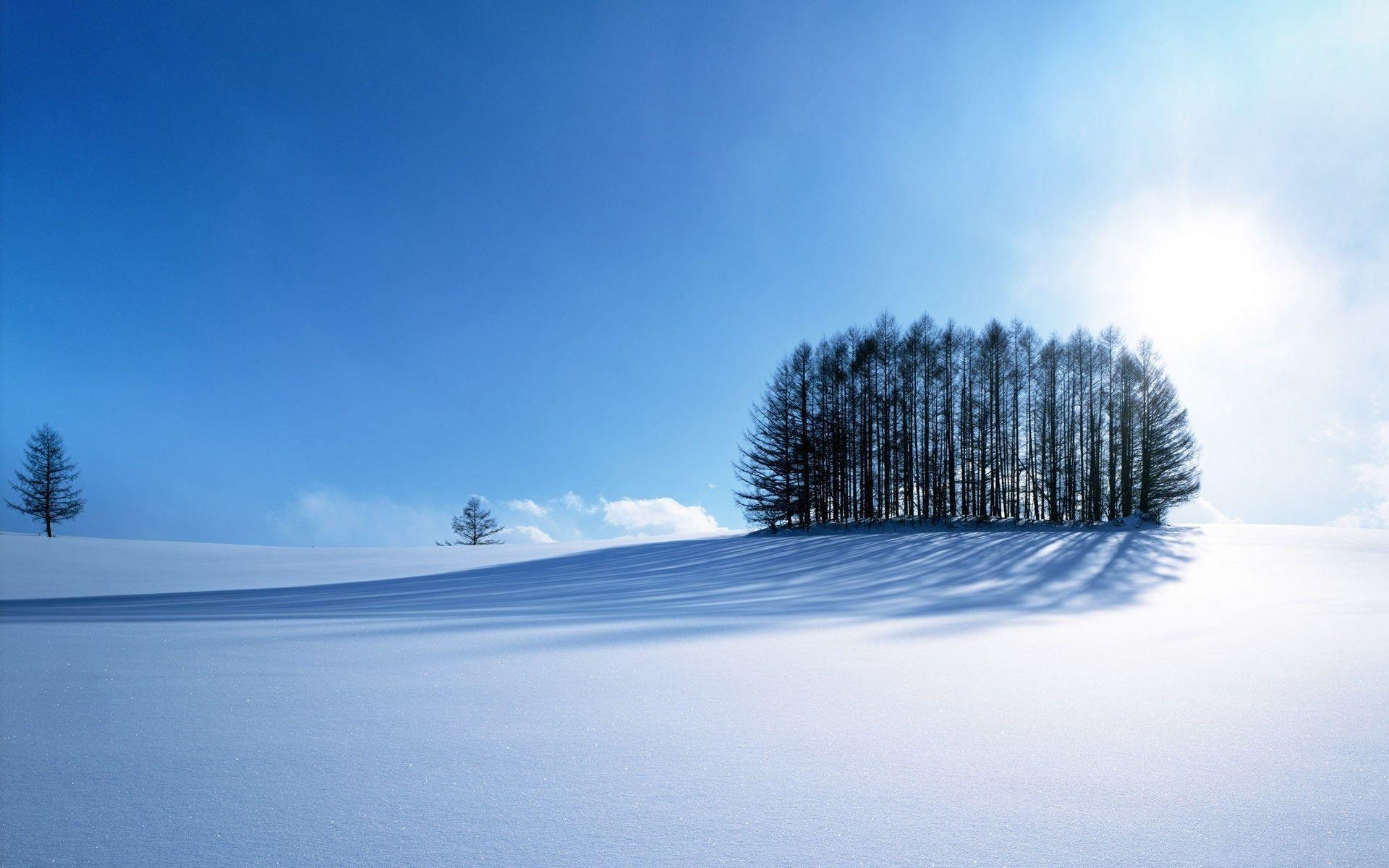 1920x1200 Snowy Background, Desktop