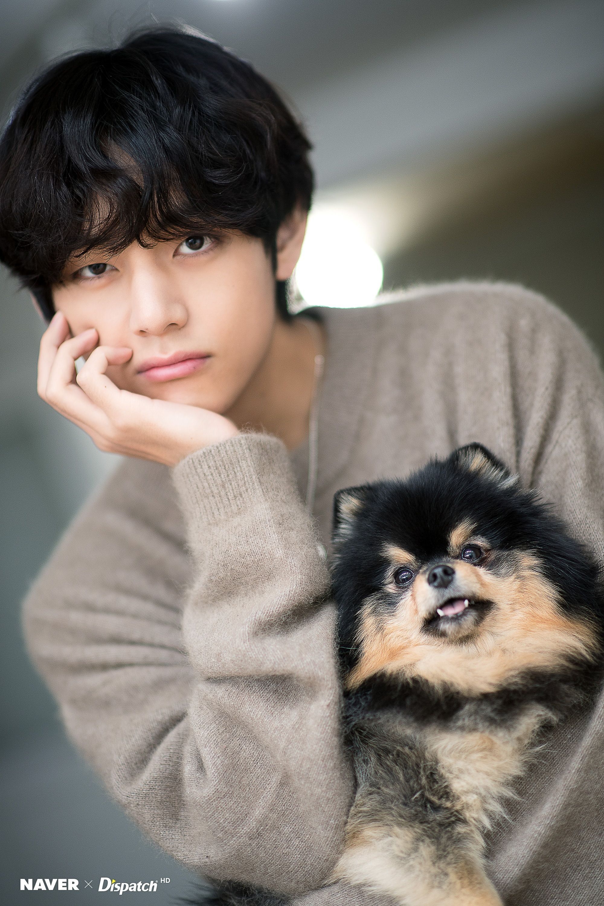 2000x3000 BTS's V and his dog Yeontan Birthday photohoot, Phone