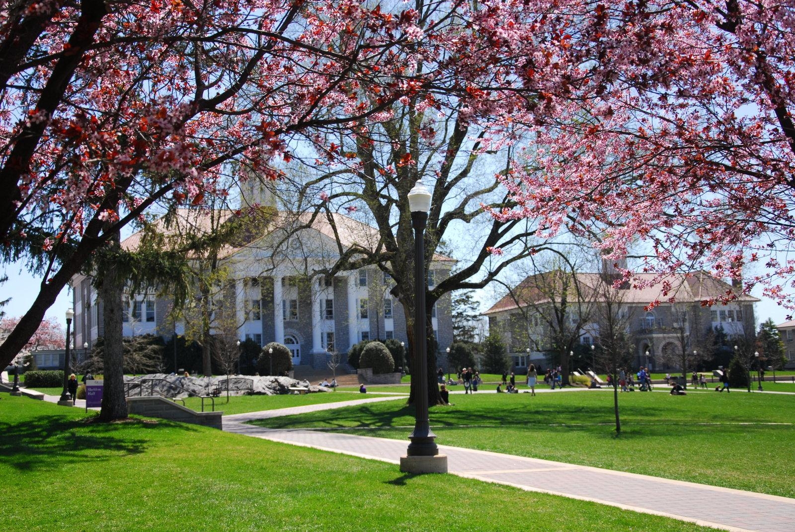 1600x1080 JMU Wallpaper. JMU Dukes Wallpaper, Desktop