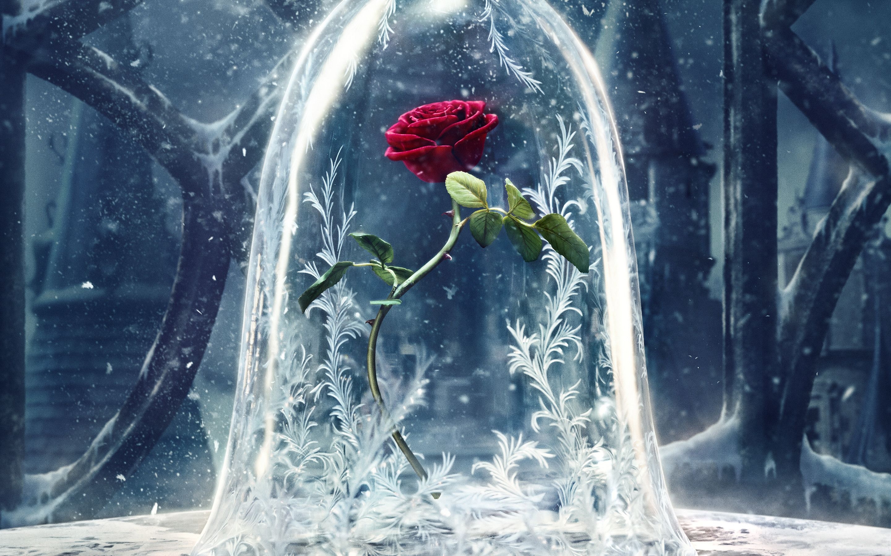 2880x1800 Free download Beauty and the Beast Wallpaper - [] for your Desktop, Mobile & Tablet. Explore Beast Wallpaper. Beast Wallpaper, Beast Wallpaper, Body Beast Wallpaper, Desktop