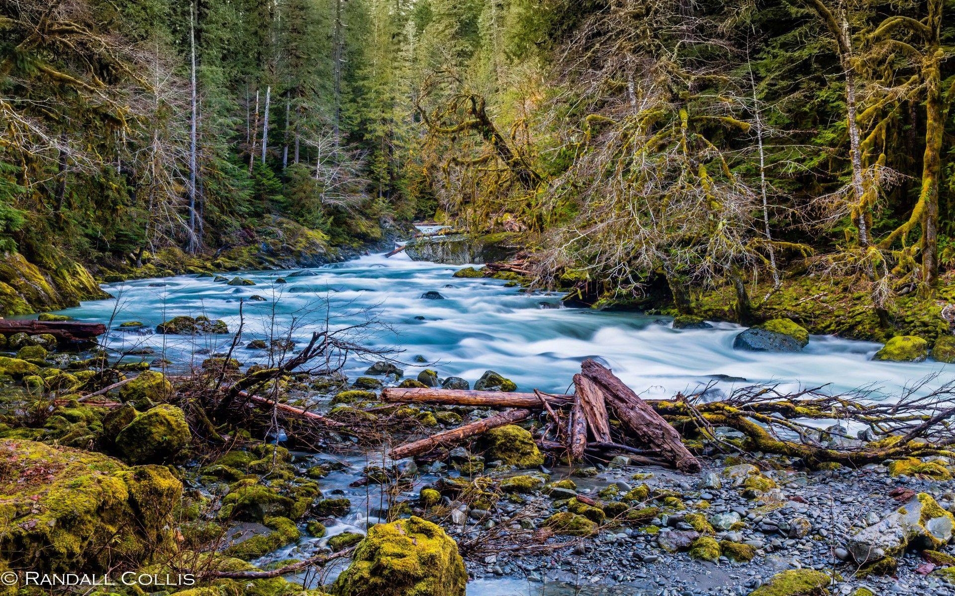 1920x1200 Beautiful HD Wallpaper North Fork Skokomish River Olympic National, Desktop