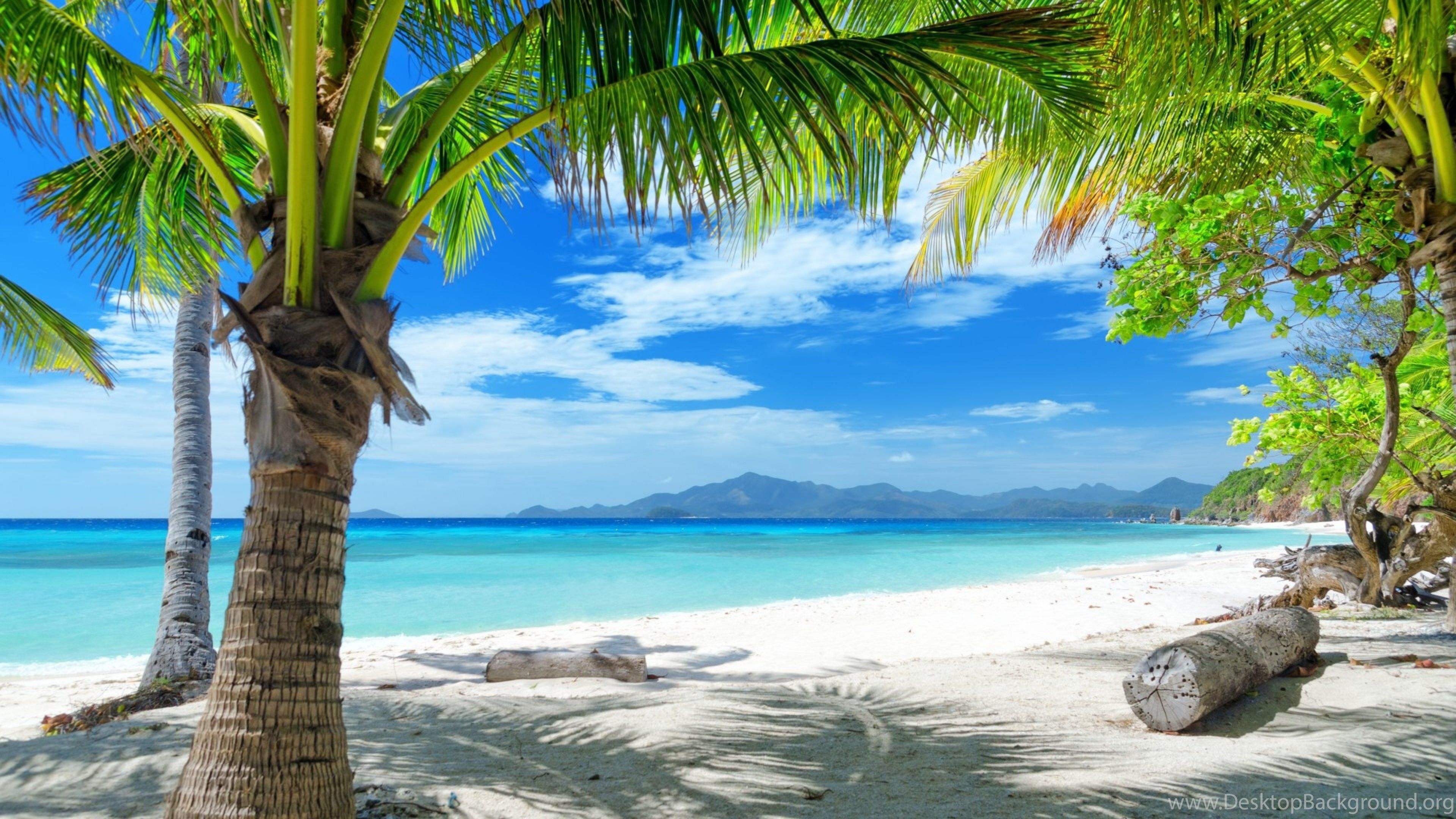 3840x2160 Download Wallpaper  Tropics, Beach, Sand, Palm Trees 4K. Desktop Background, Desktop