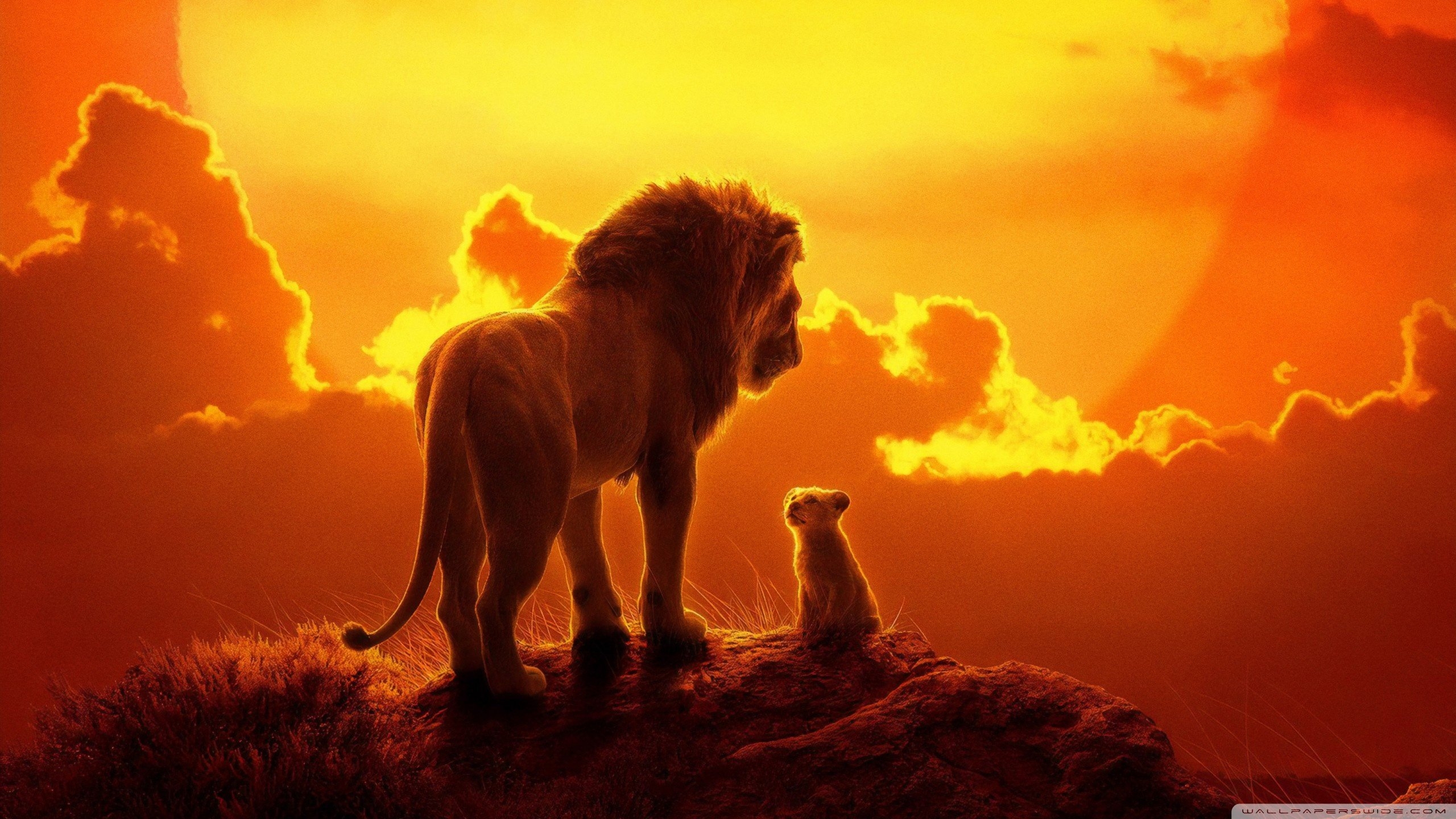 2560x1440 The Lion King 2019 Ultra HD Desktop Background Wallpaper for 4K, Desktop