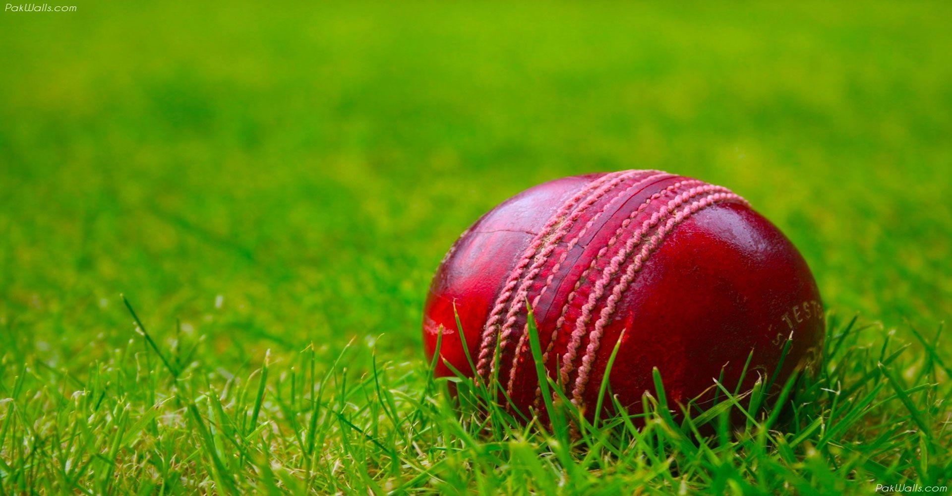 1920x1000 Cricket Wallpaper Contact Page, Desktop