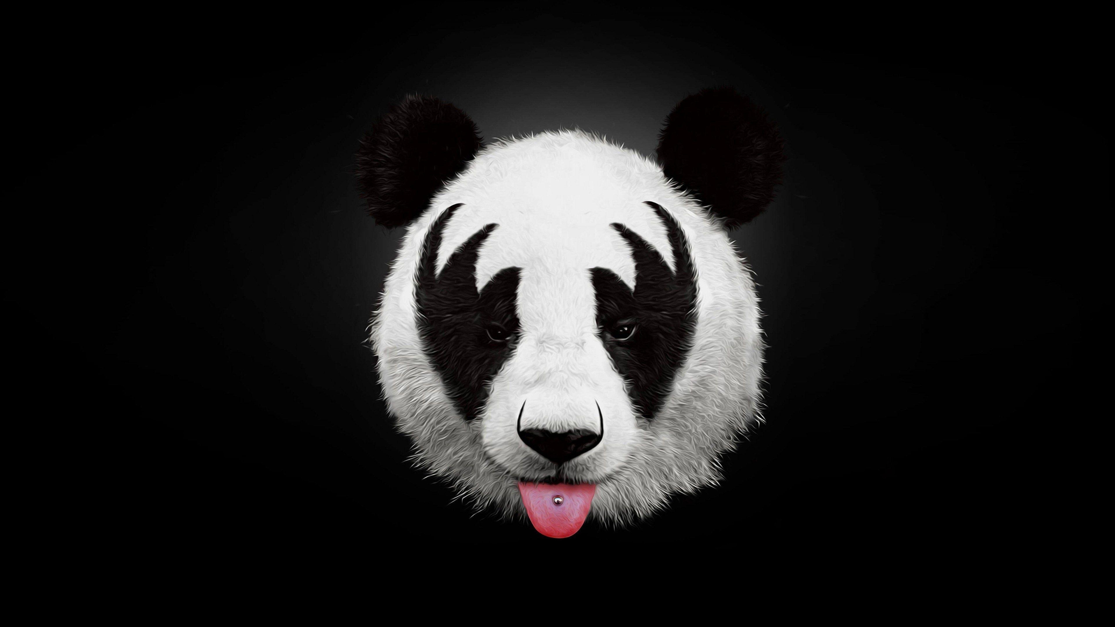 3840x2160 panda 4k desktop background wallpaper HD. Panda wallpaper, Artwork, Typography artwork, Desktop