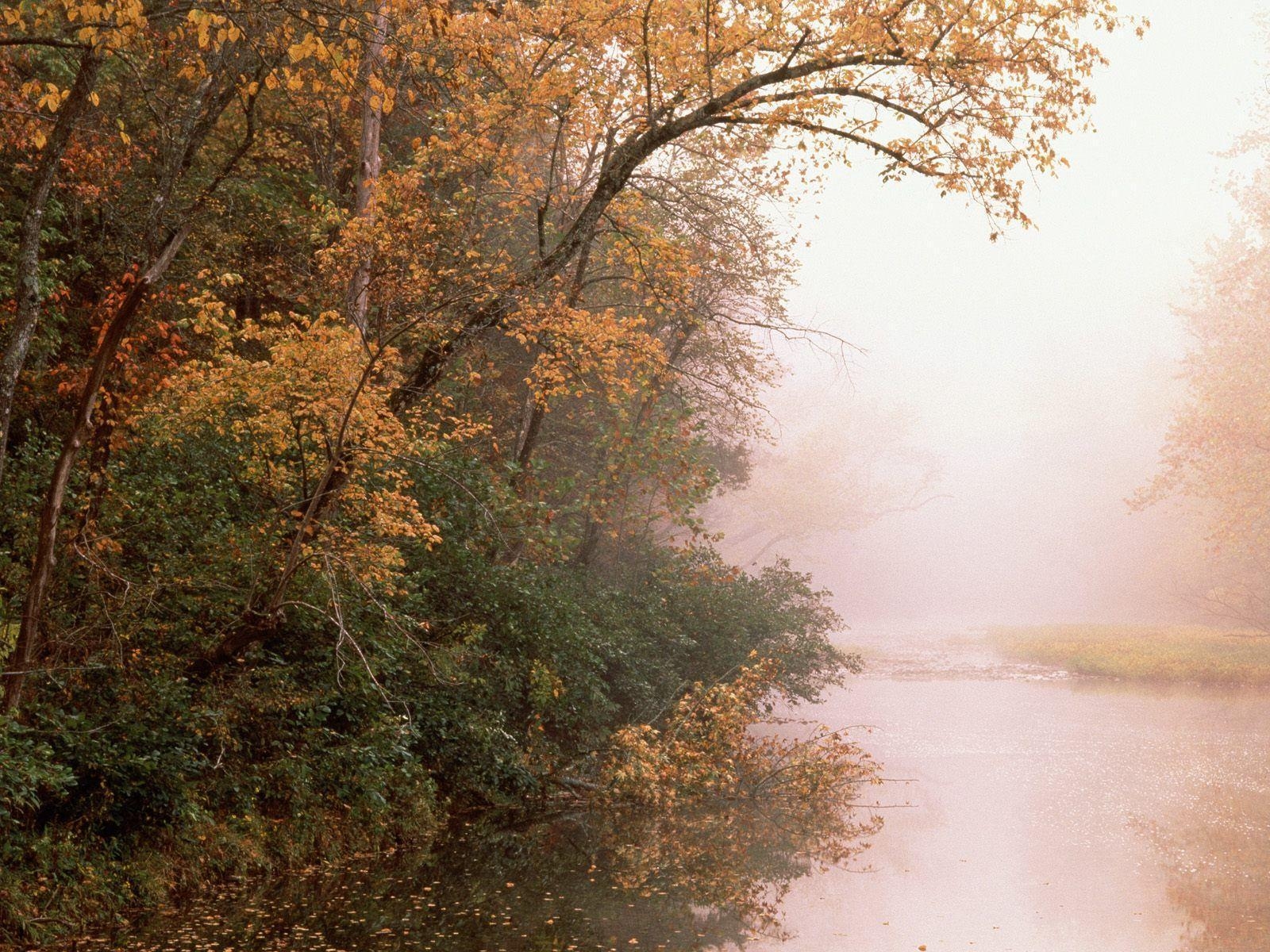 1600x1200 Buffalo River, Arkansas Computer Wallpaper, Desktop Background, Desktop