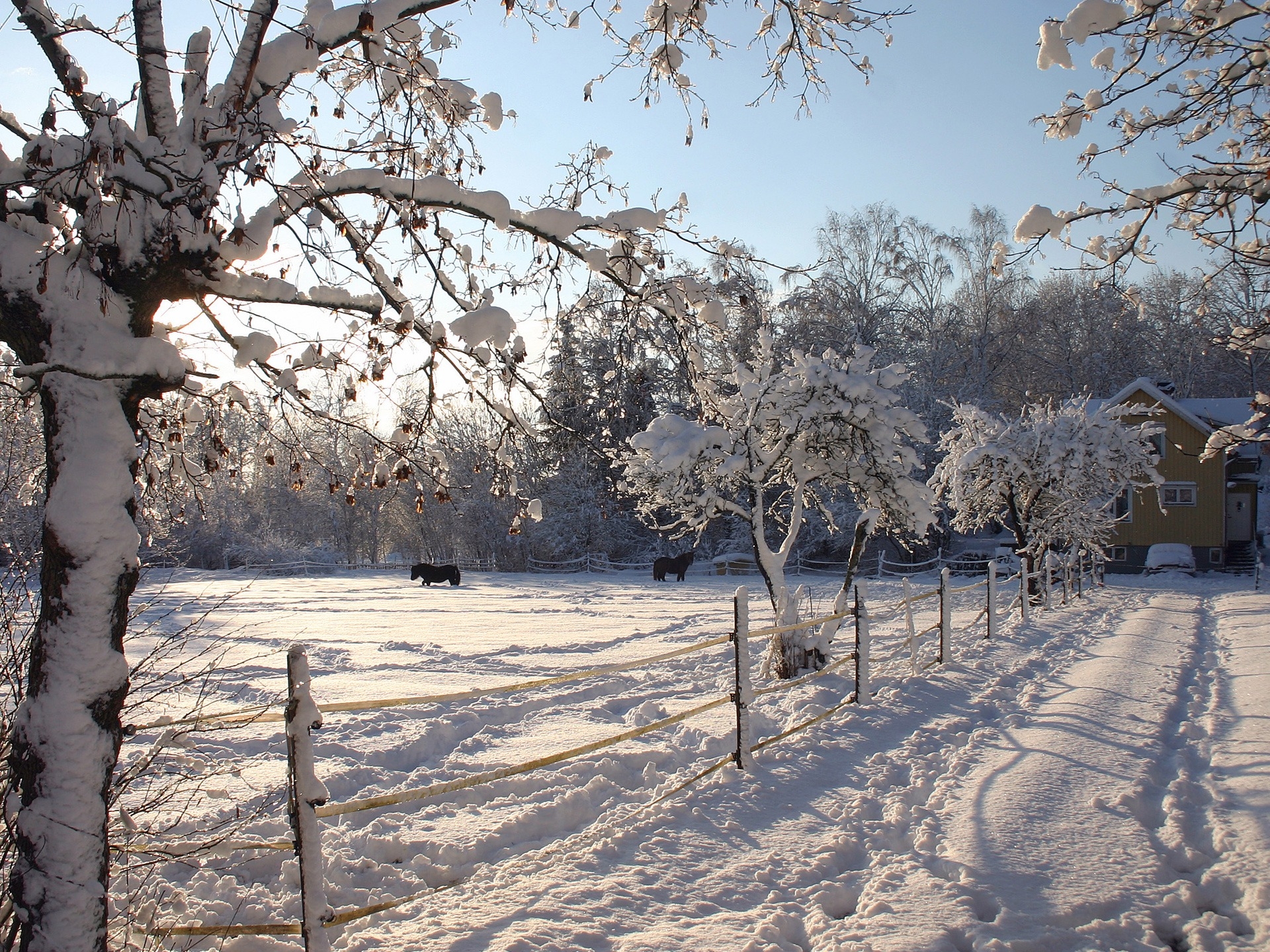 1920x1440 Wintertime Wallpaper Winter Nature Wallpaper in jpg format, Desktop