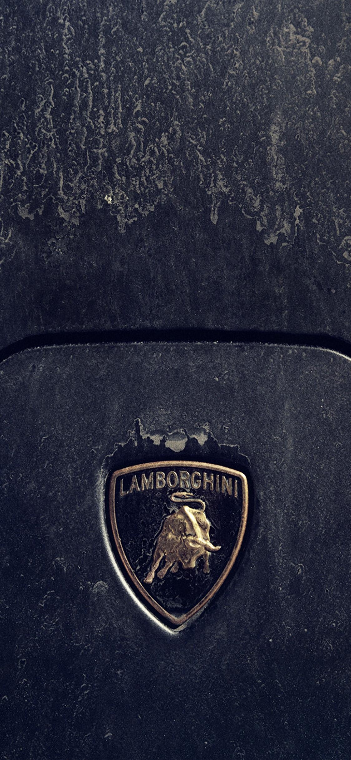 1130x2440 iPhone X wallpaper. lamborghini, Phone