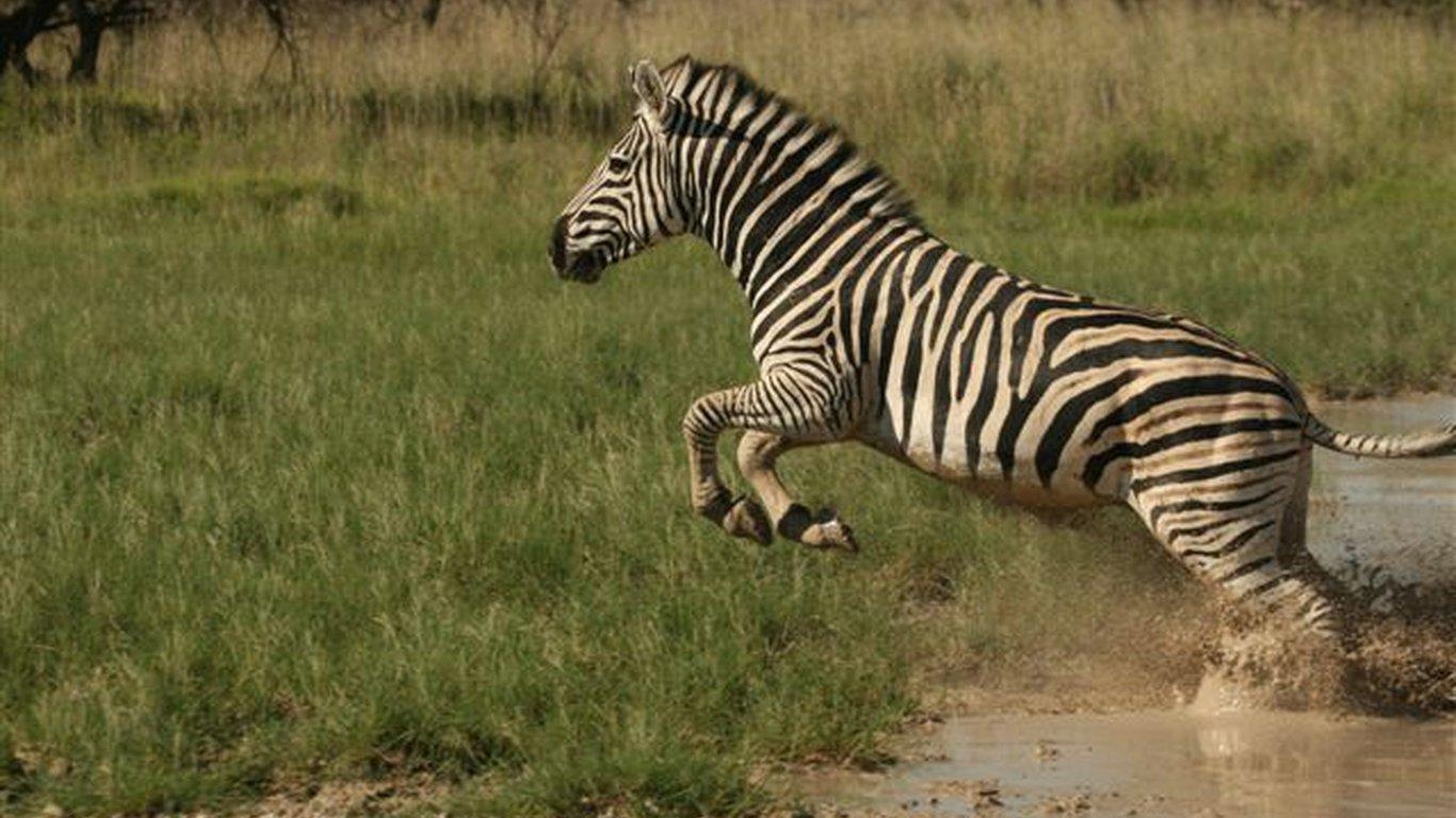 1370x770 Nxai Pan in Nxai Pan National Park, Botswana, Desktop