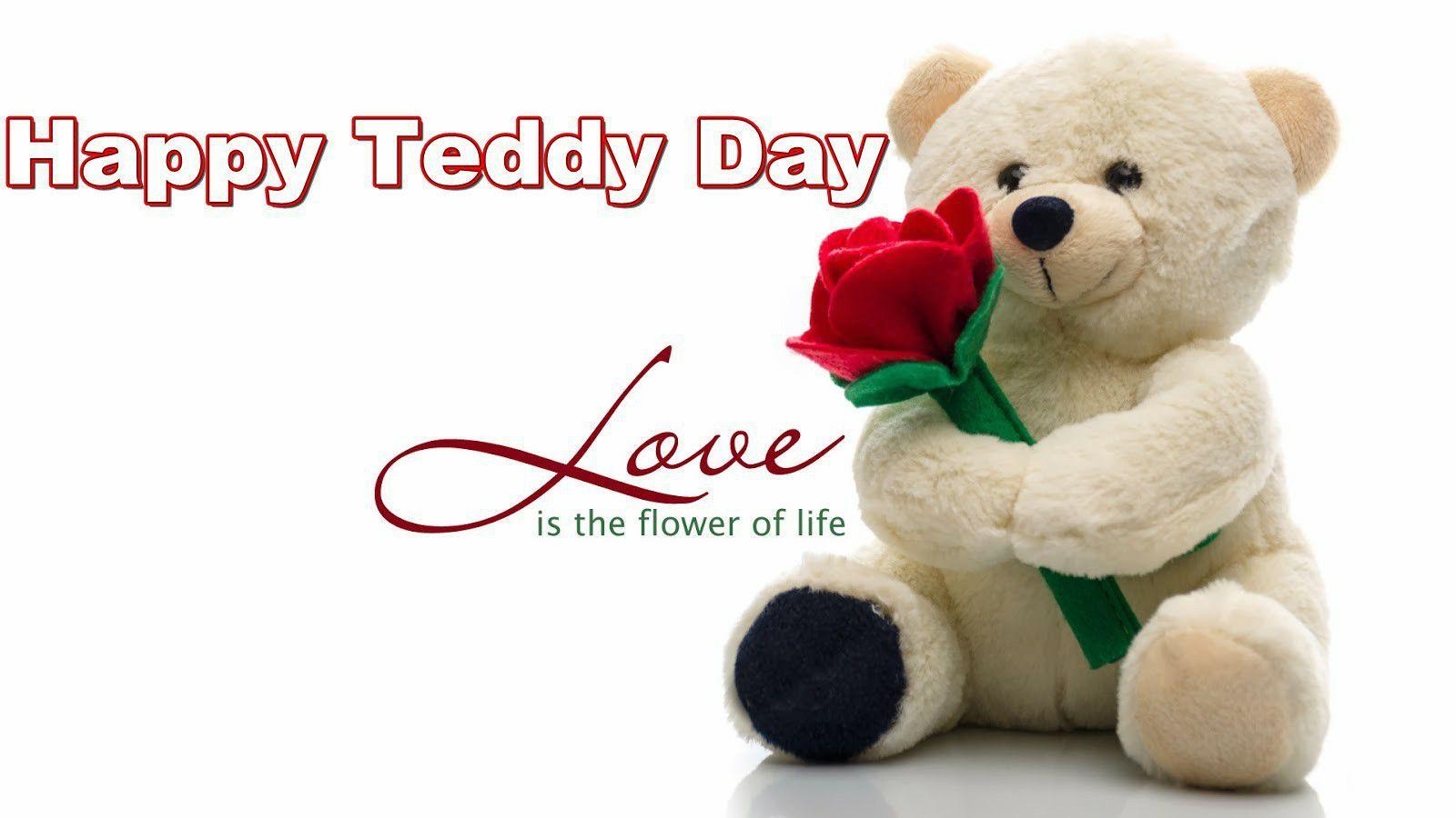 1600x900 Happy Teddy Day Free Download Wallpaper, Desktop