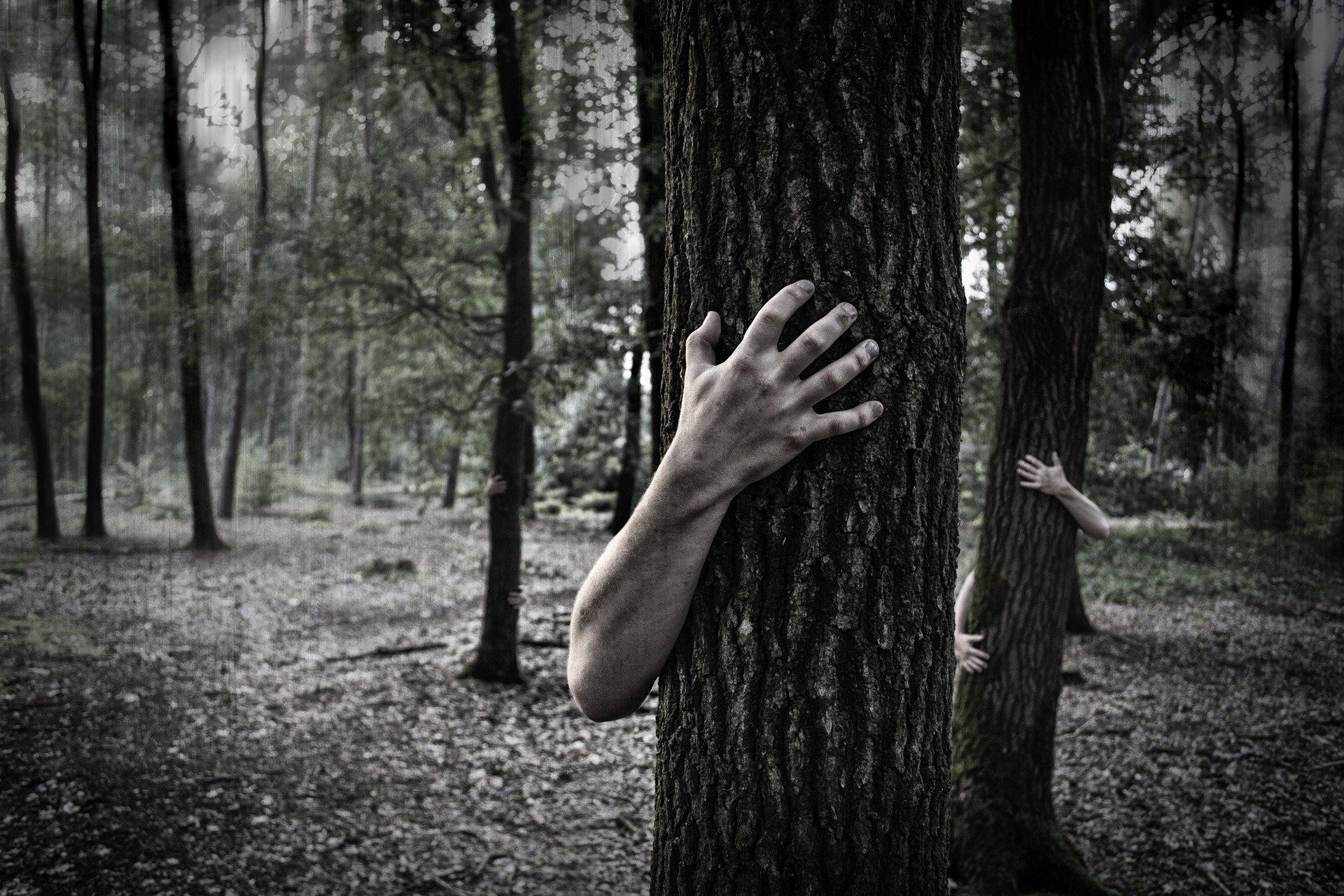 1920x1280 Hands Trunk Creepy Zombie Forest Horror Scary forest wallpaper, Desktop