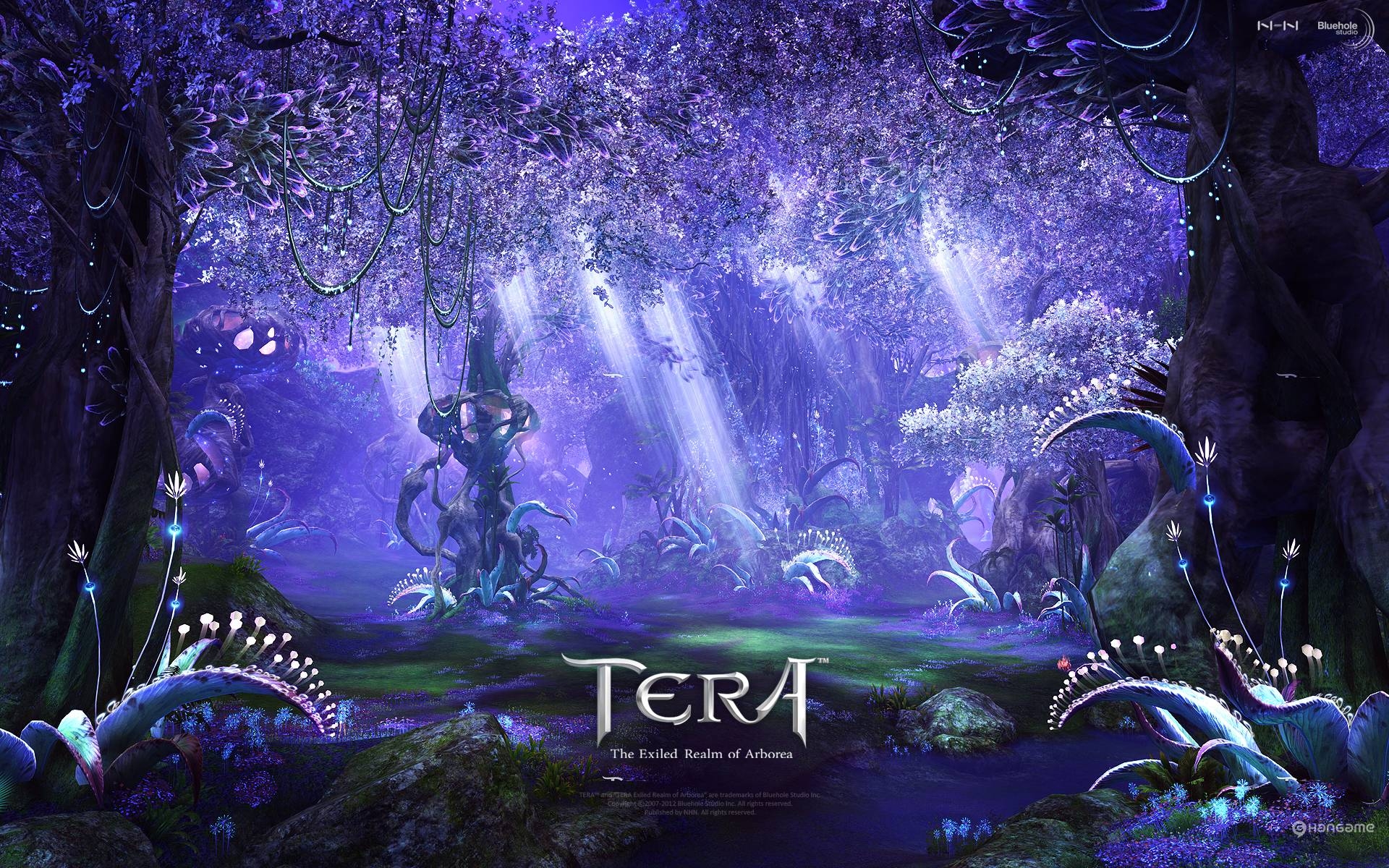 1920x1200 Tera Online Fantasy Anime V Wallpaper Background, Desktop