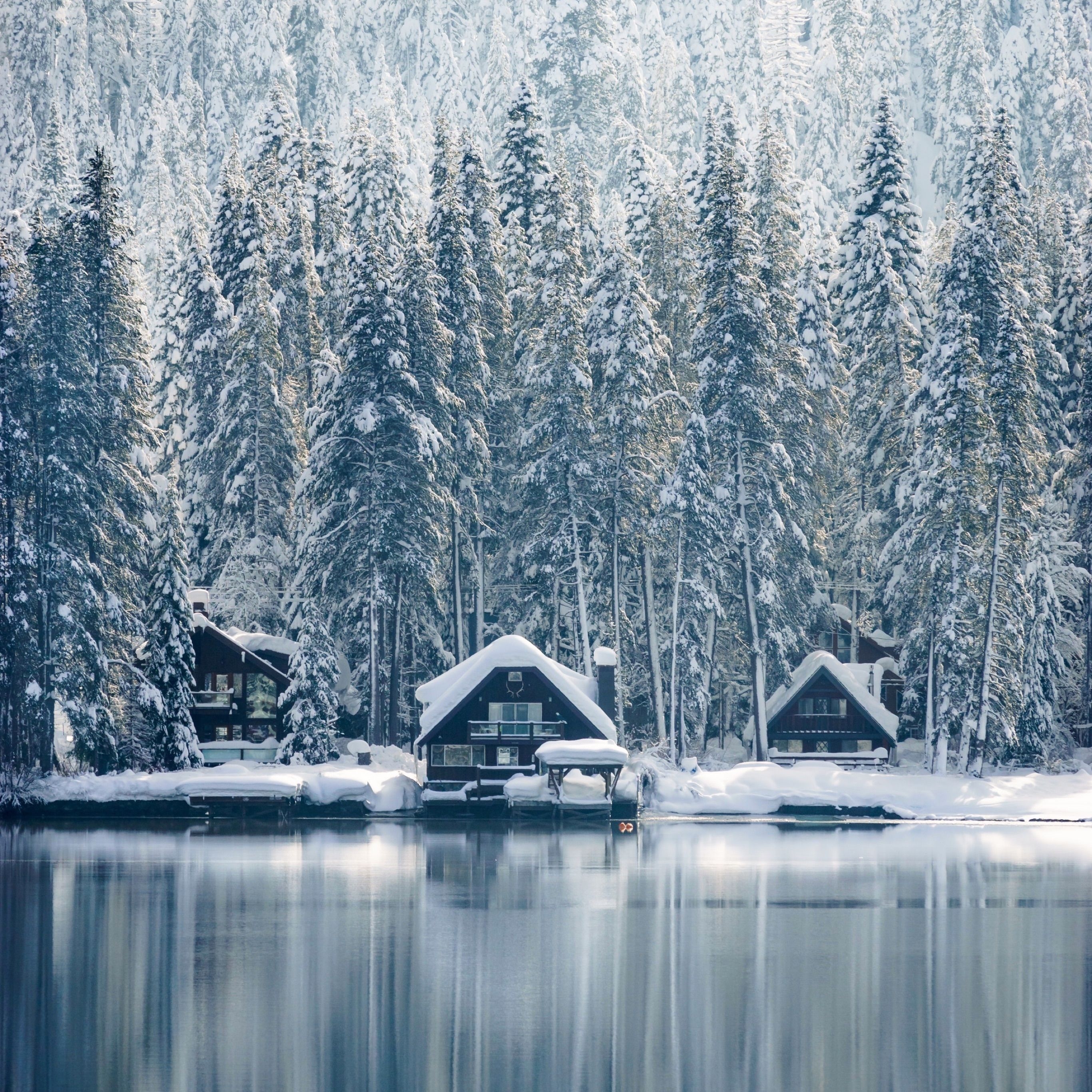 2740x2740 Wallpaper Weekends: Winter Wonderland Wallpaper for iPhone and iPad, Phone