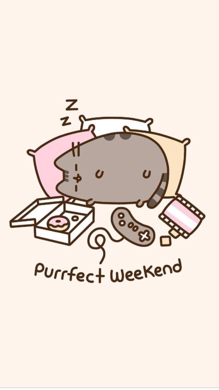 720x1280 Pusheen wallpaper, Phone