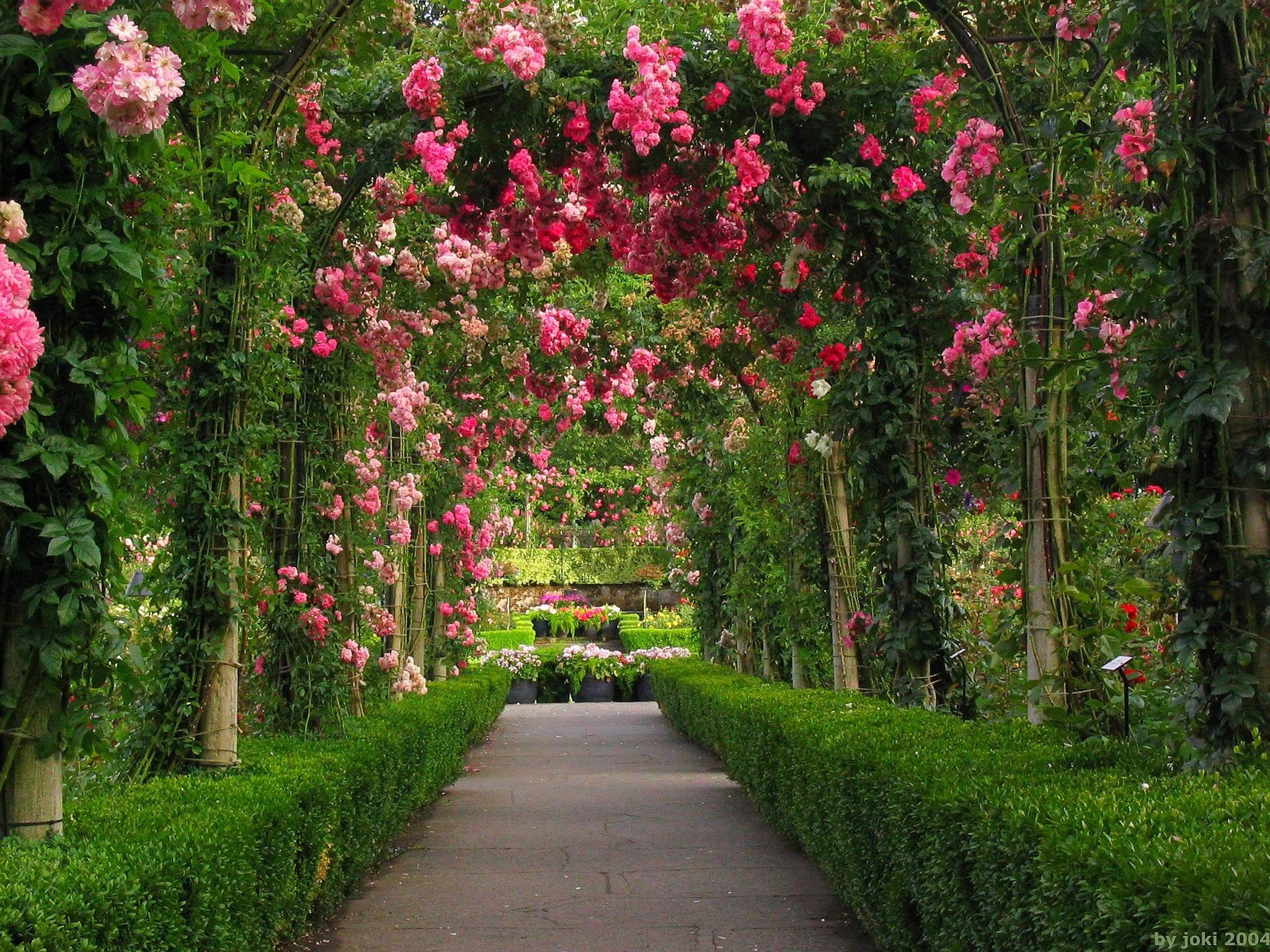 2050x1540 Pink Rose Garden Wallpaper. Garden. Home Image Area, Desktop