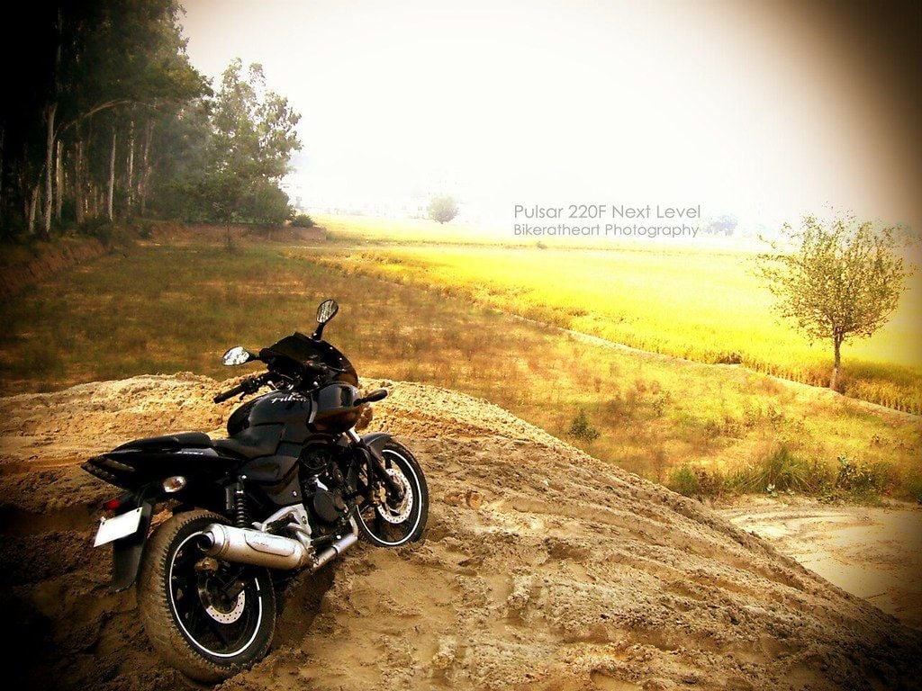 1030x770 Bajaj Pulsar 220 Wallpaper 06. Faisal A Khan, Desktop