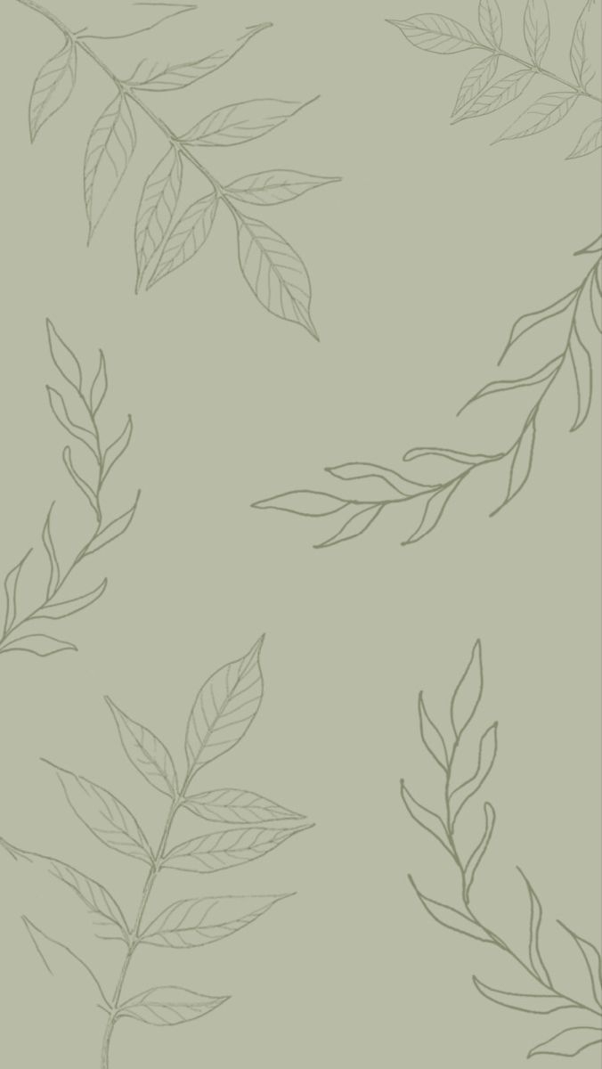 680x1200 ios 14 wallpaper sage green leaves plant. Leaves wallpaper iphone, Sage green wallpaper, Green wallpaper, Phone