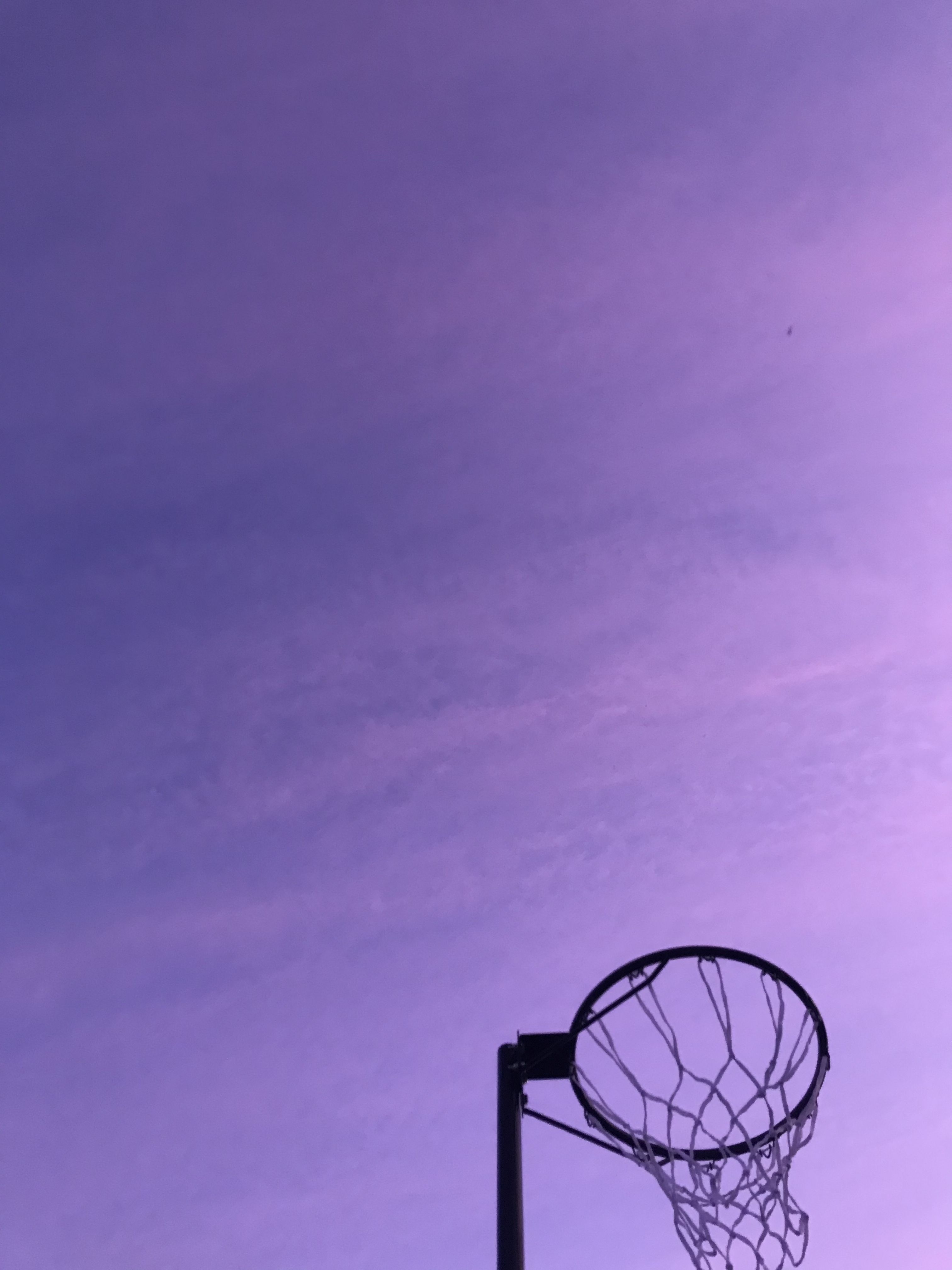 3030x4040 Netball Aesthetics. Girls wall art, Purple aesthetic, Picture wall, Phone