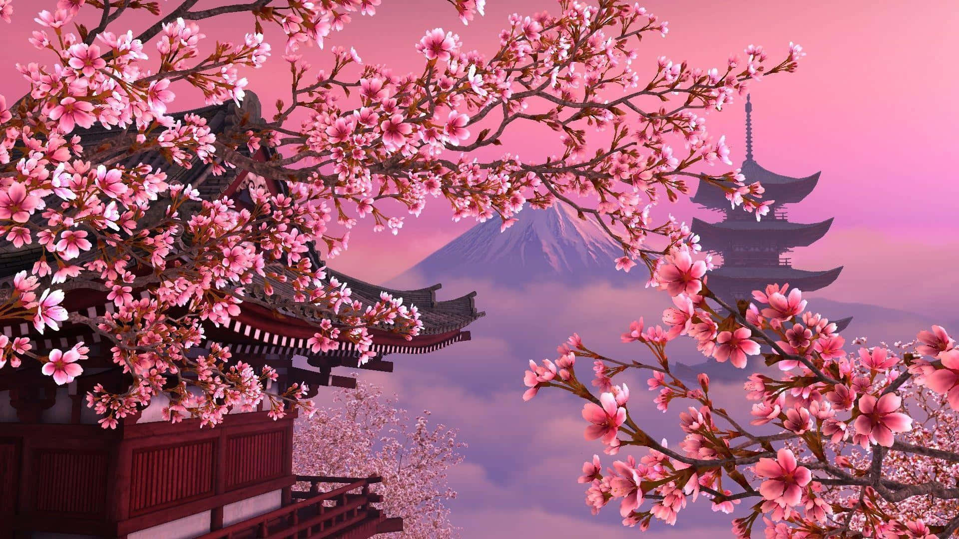 1920x1080 Sakura Pc Wallpaper, Desktop