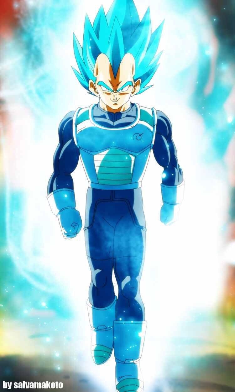 750x1260 Super Saiyan God Vegeta wallpaper, Phone