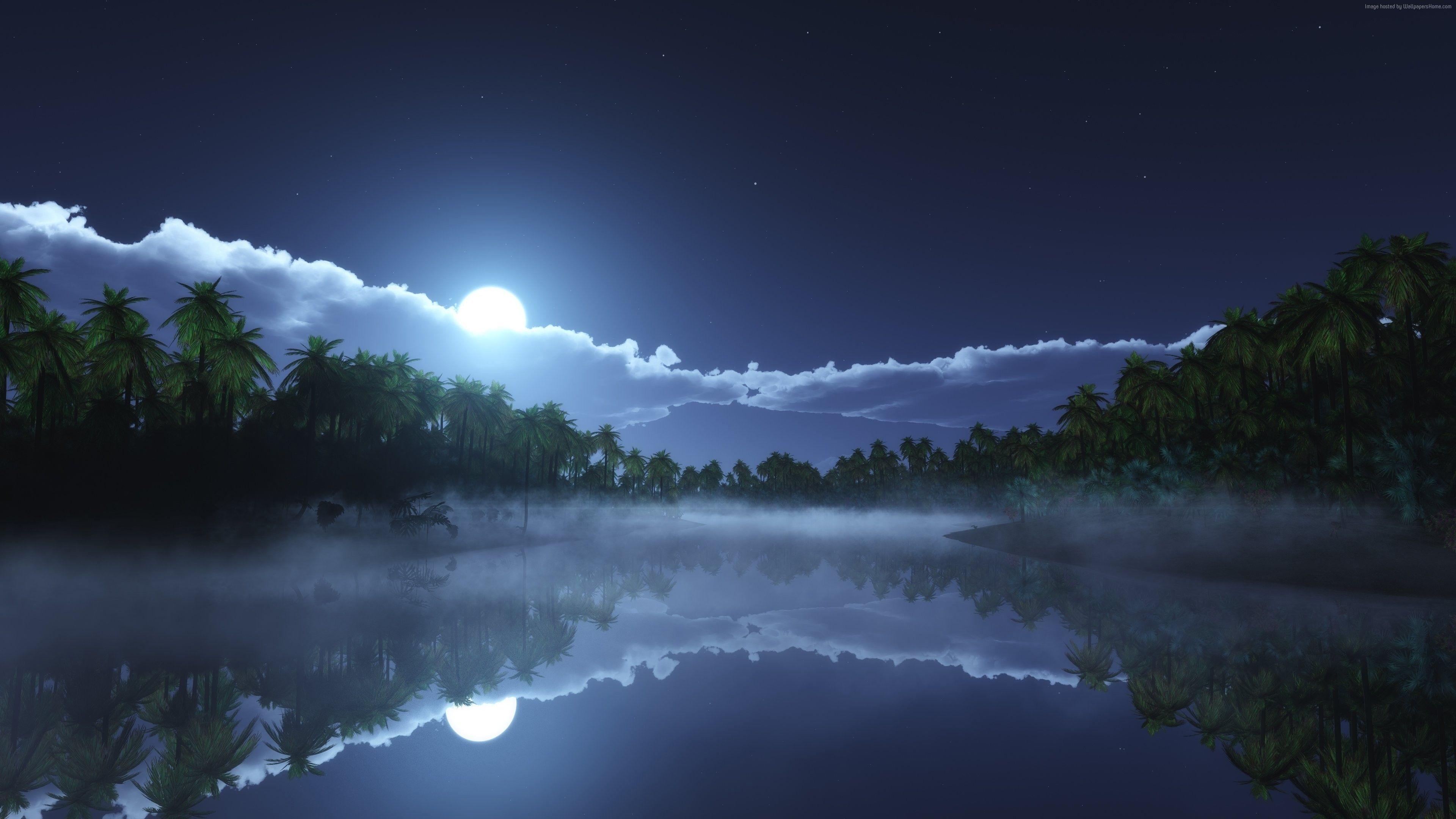 3840x2160 Wallpaper River, 4k, HD wallpaper, sea, palms, night, moon, clouds, Desktop