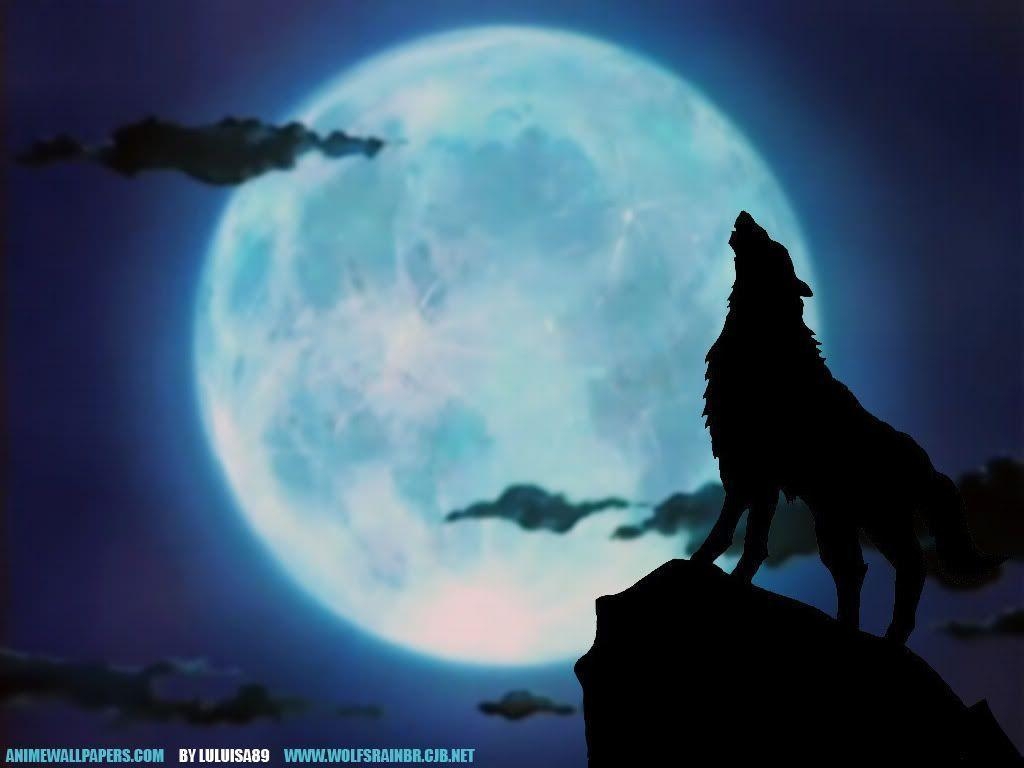 1030x770 Howling Wolf Wallpaper, Desktop