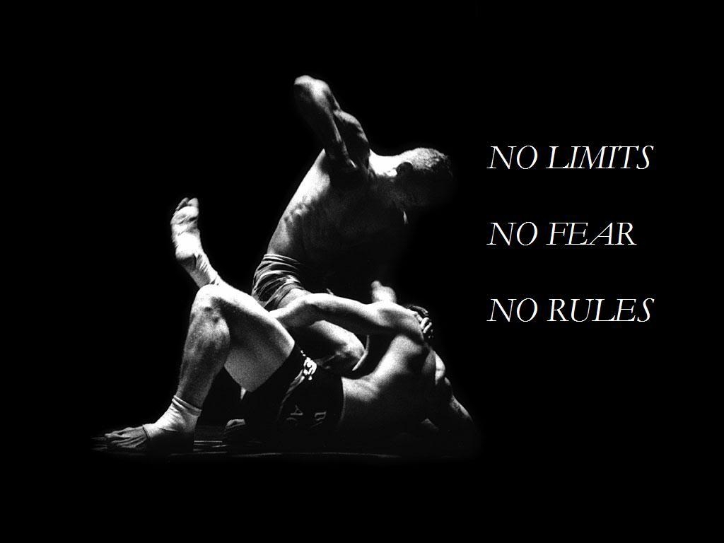 1030x770 BJJ Wallpaper Desktop, HD BJJ Wallpaper and Photo. View 100, Desktop