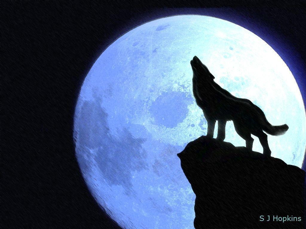 1030x770 How To Draw Wolves Howling At The Moon, Desktop