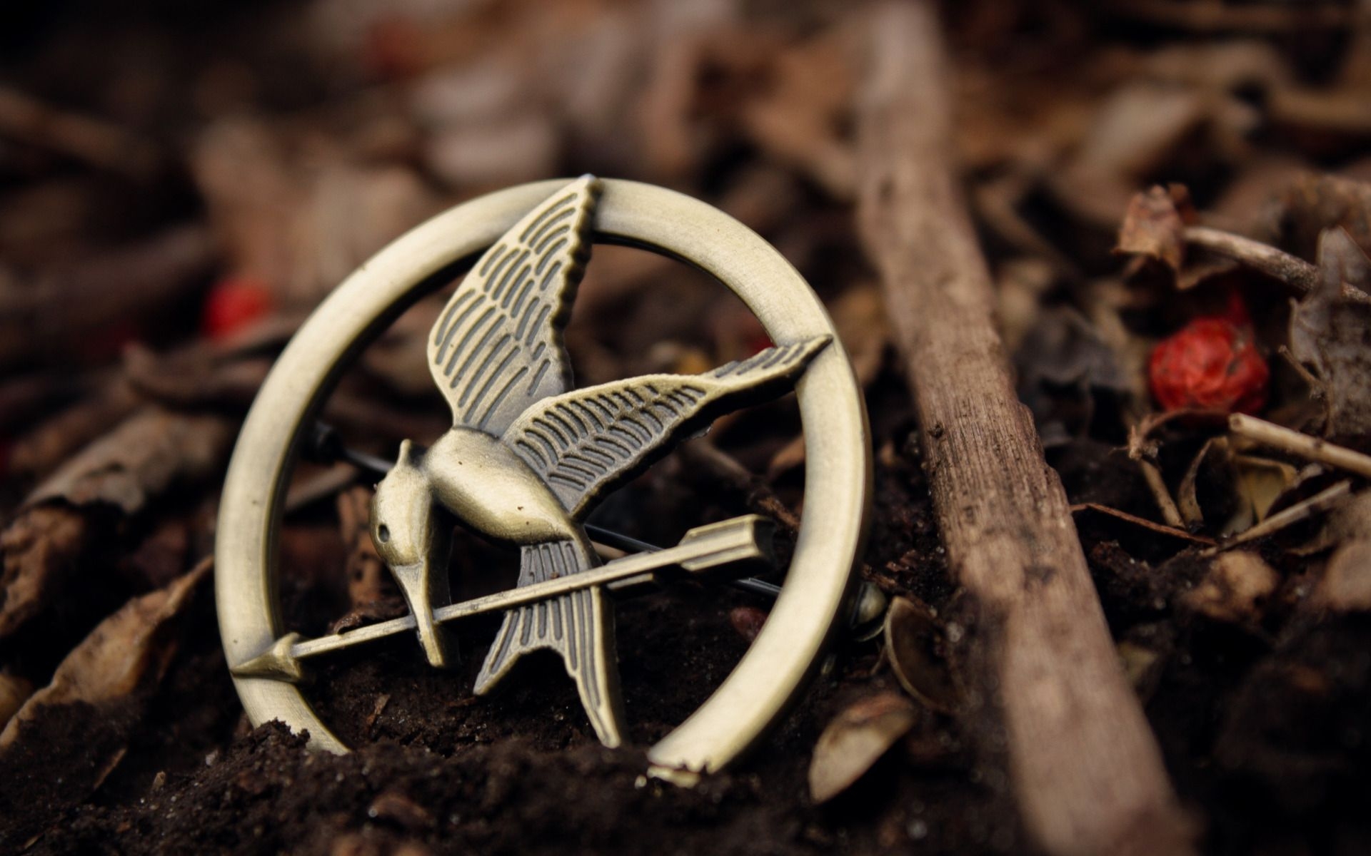 1920x1200 Hunger Games Desktop Wallpaper THIS Wallpaper, Desktop