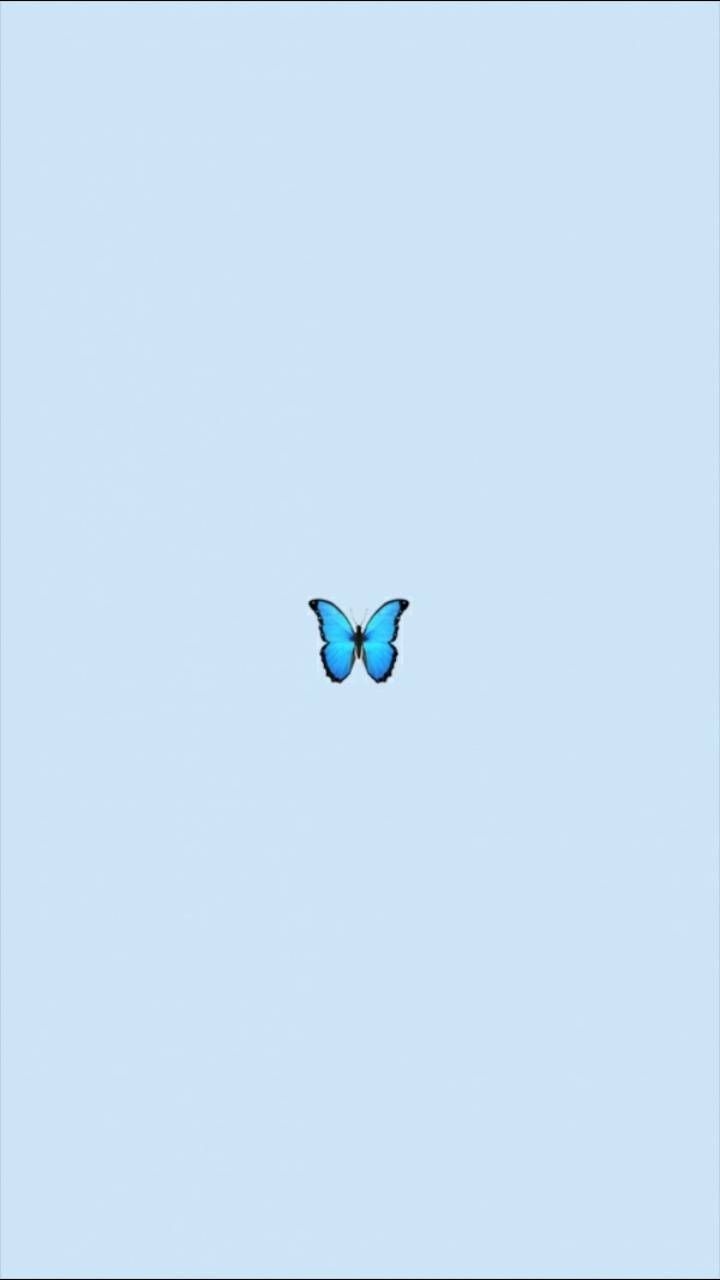 720x1280 Blue Butterfly Wallpaper iPhone Aesthetic, Phone