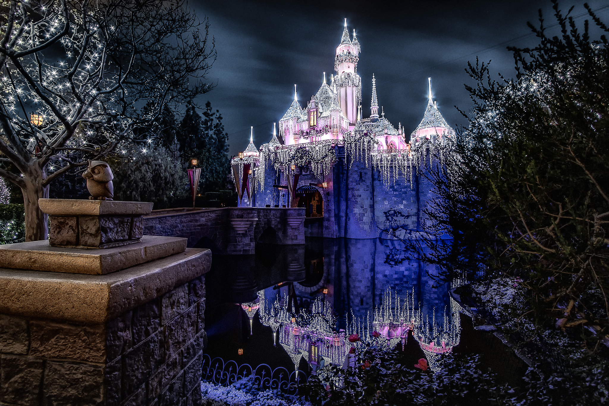 2050x1370 Wallpaper, reflection, water, nature, night, lighting, tree, tourist attraction, plant, darkness, evening, sky, city, winter, metropolis, computer wallpaper, walt disney world, Desktop