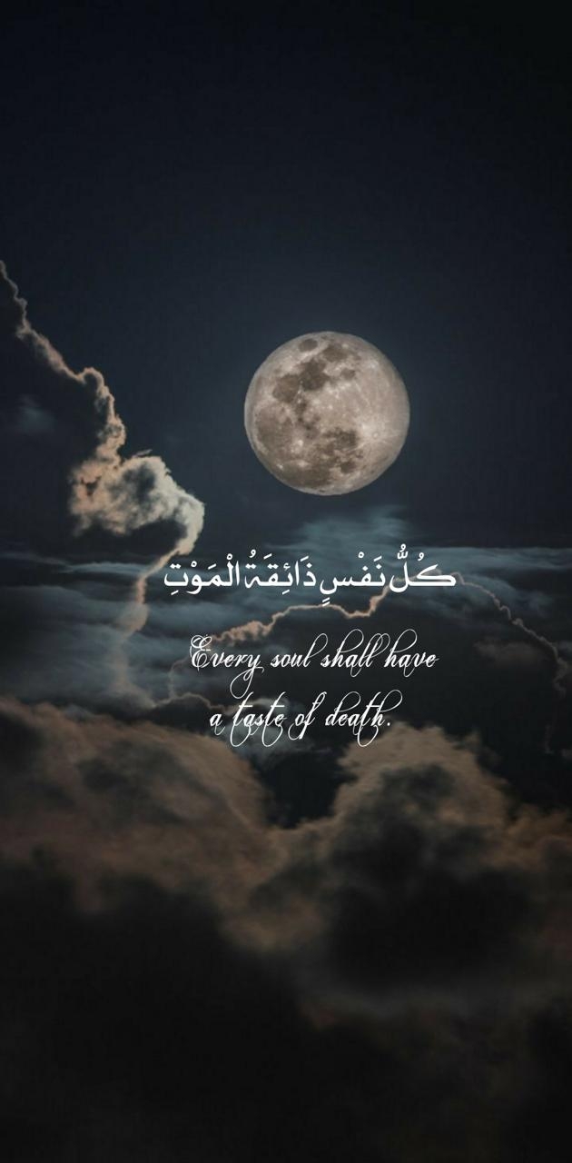 630x1280 Quran verses wallpaper, Phone