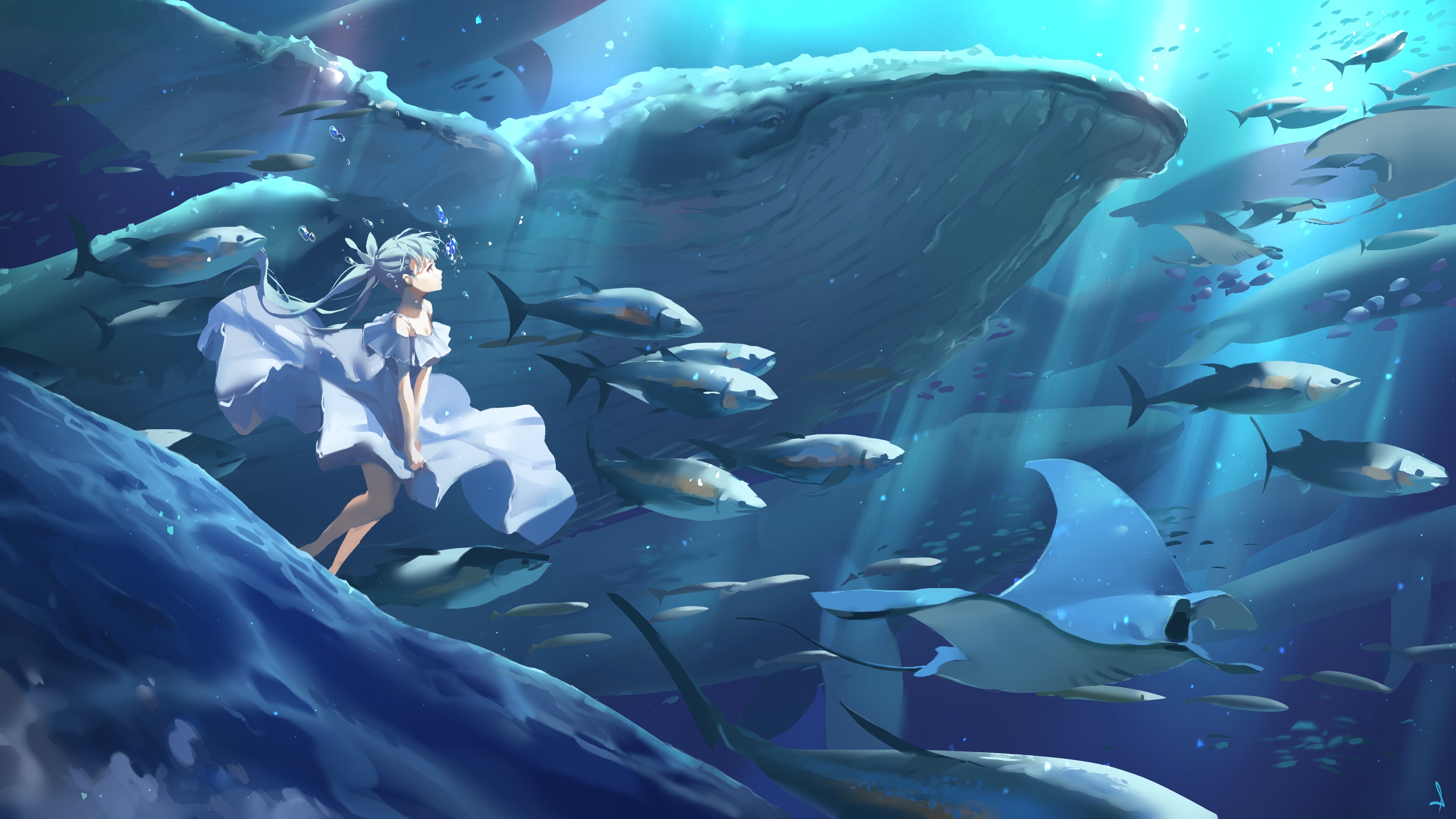 3840x2160 Anime Girl Underwater With Sealife, Desktop