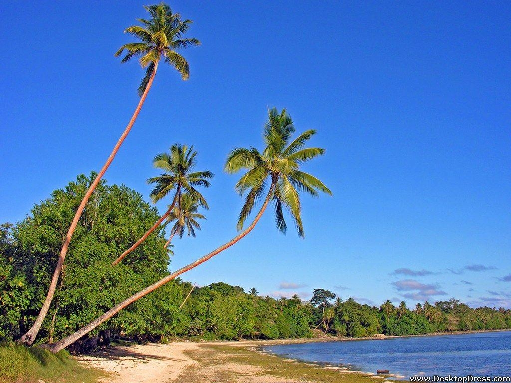 1030x770 Desktop Wallpaper Natural Background Erakor Beach Vanuatu, Desktop