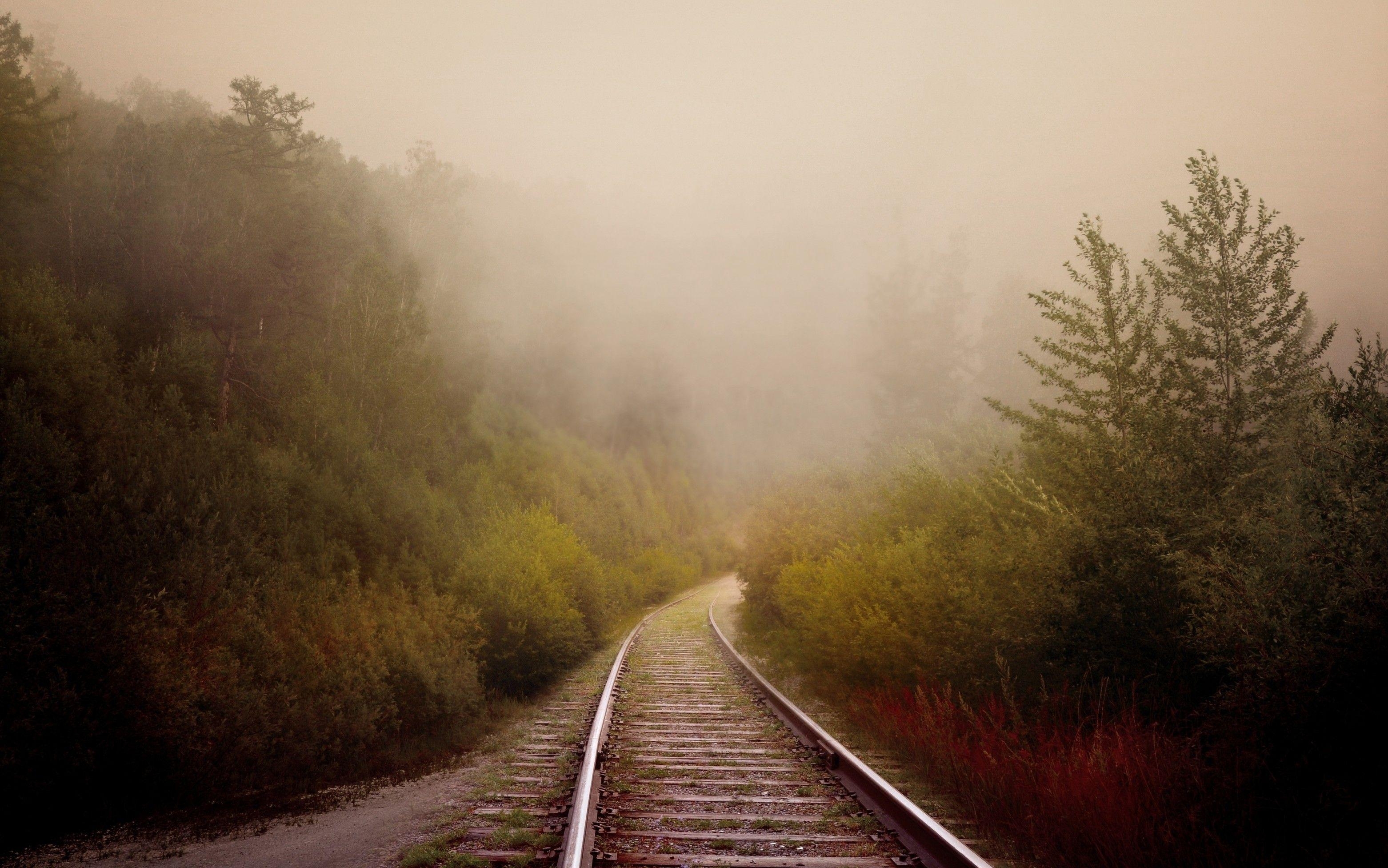 3130x1960 Download  Railway, Trees, Fog Wallpaper, Desktop