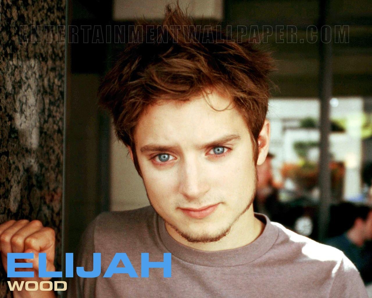 1280x1030 Elijah Wood wallpaperx1024, Desktop