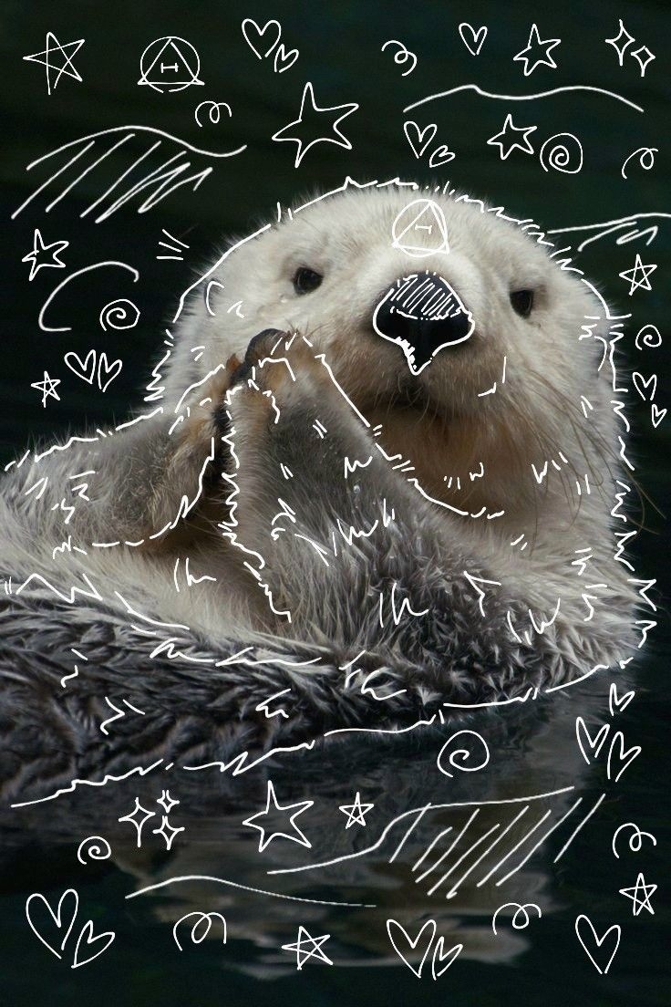 740x1110 sea otter therian, Phone