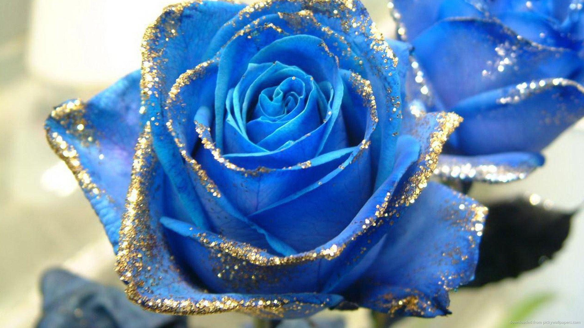 1920x1080 Blue Rose With Gold Glitter Wallpaper For PSP, Desktop