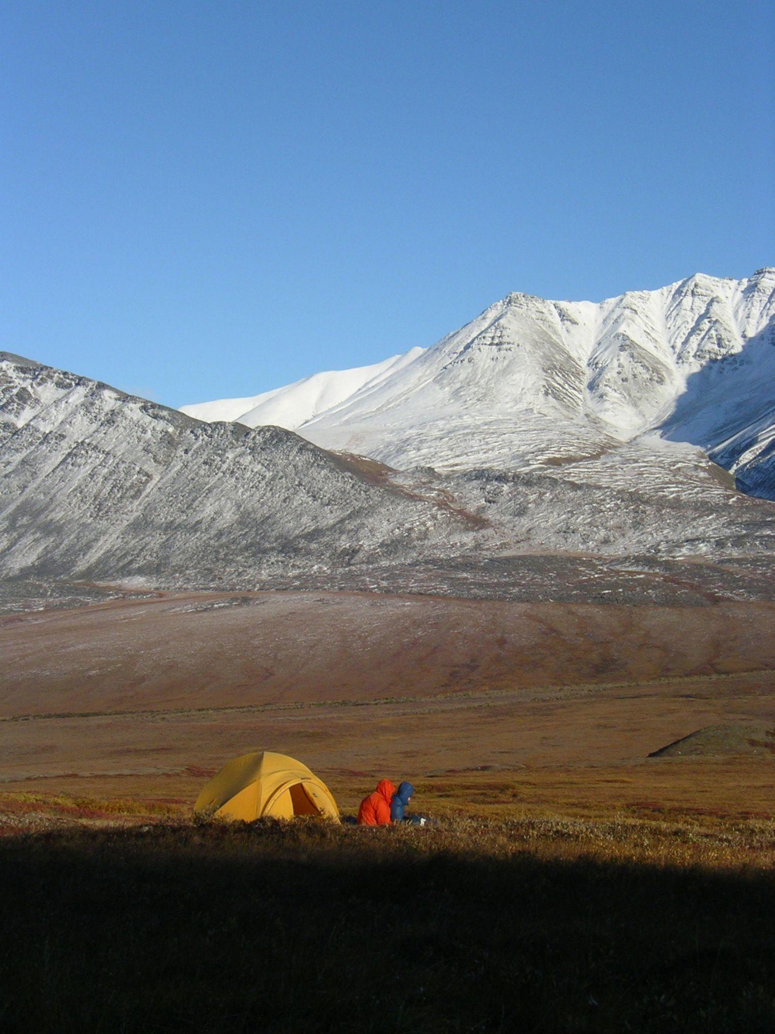 1540x2050 Gates of the Arctic National Park, Phone